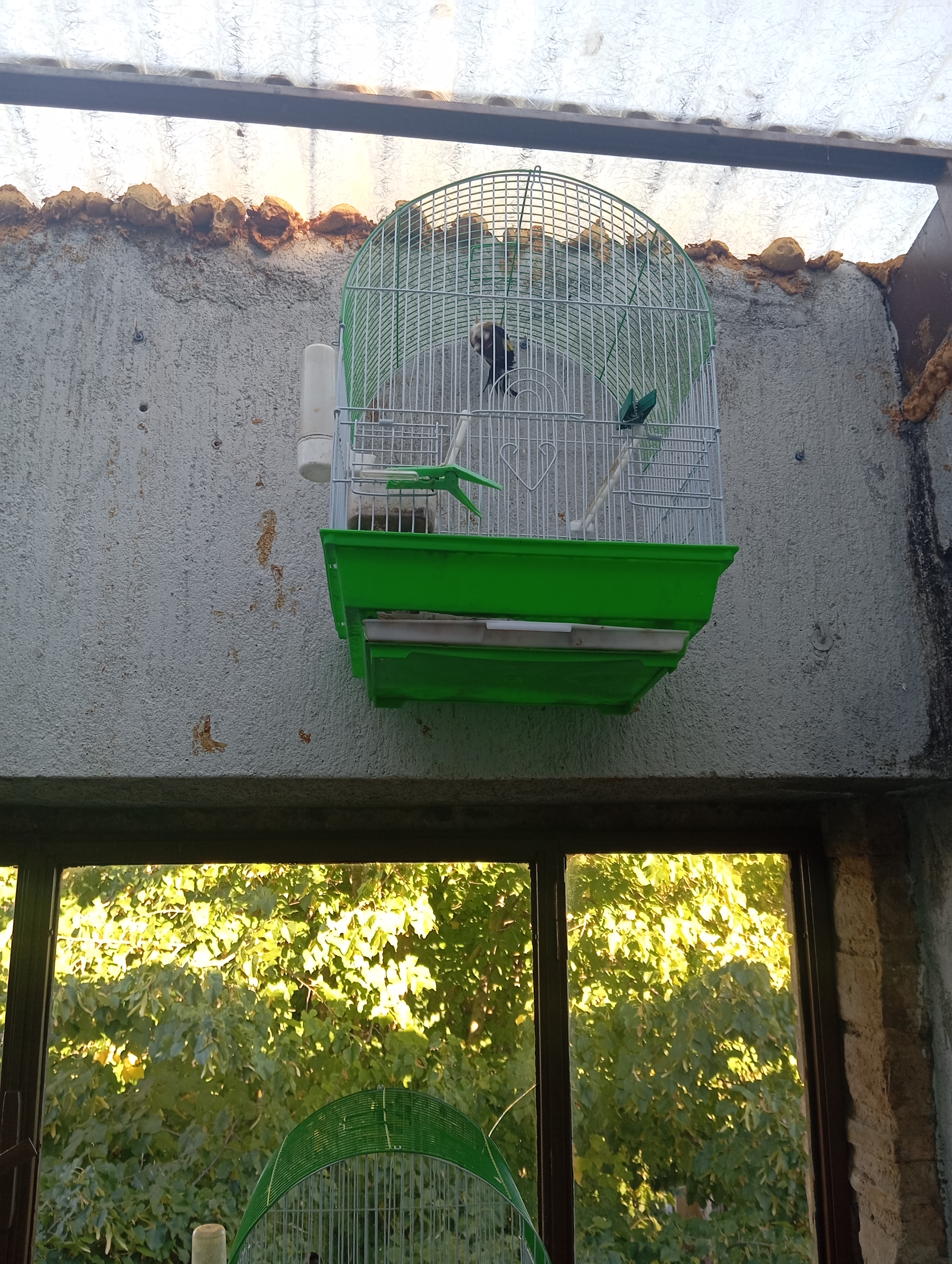 image-13