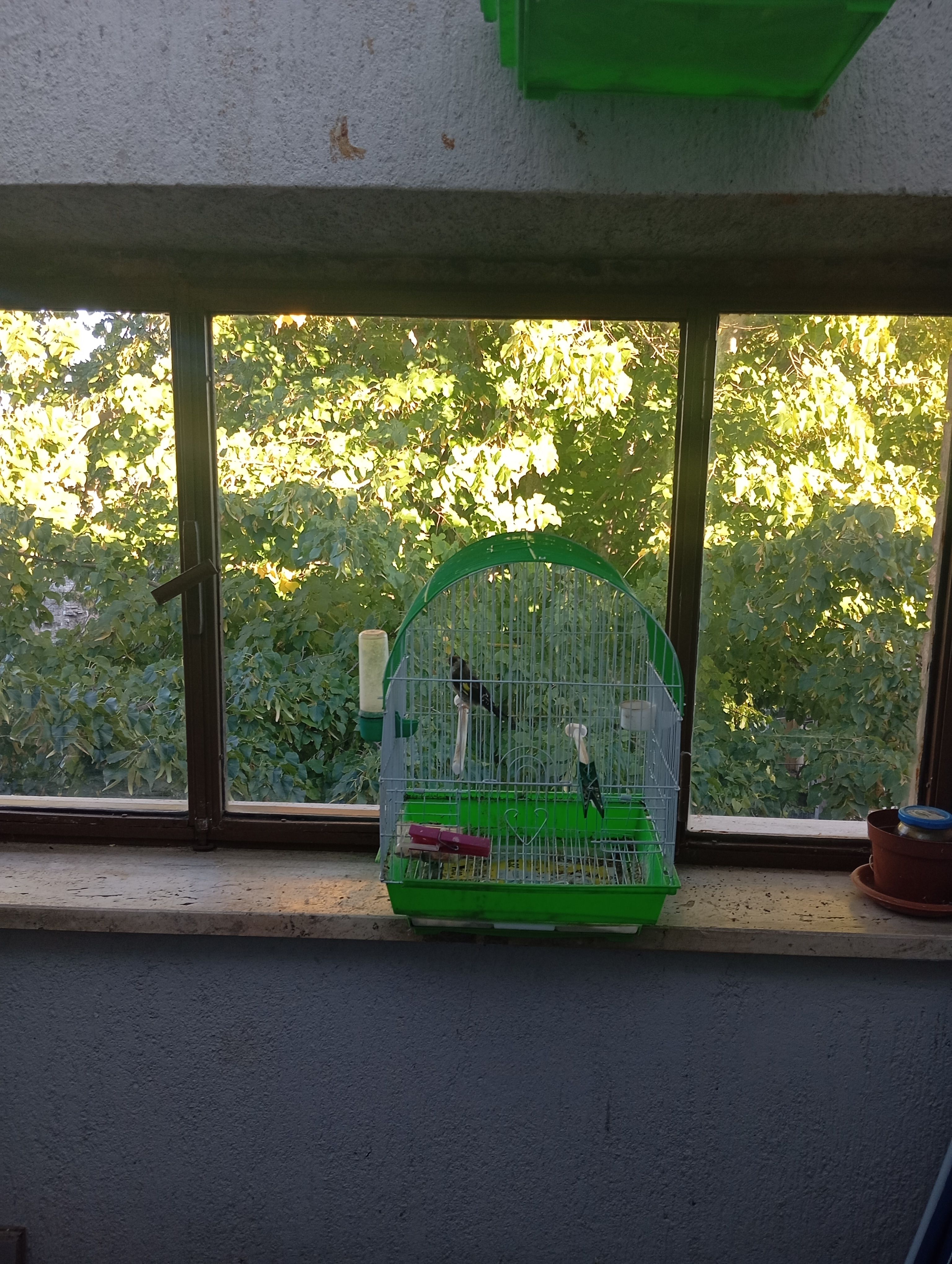 image-12