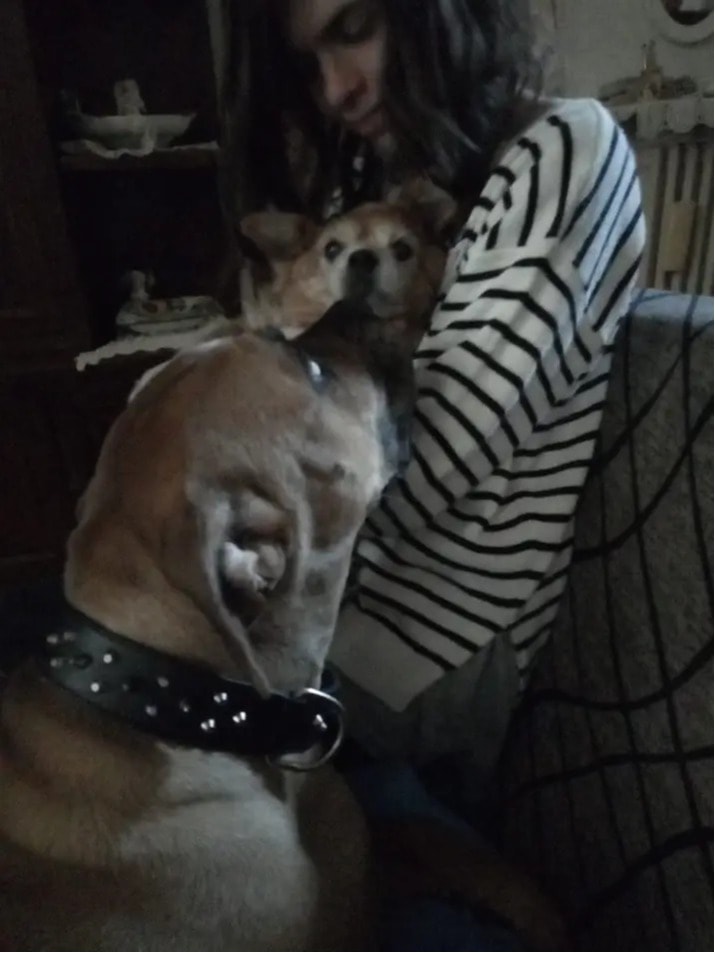 image-3