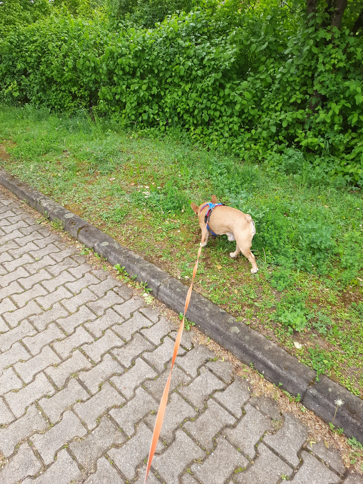 image-5