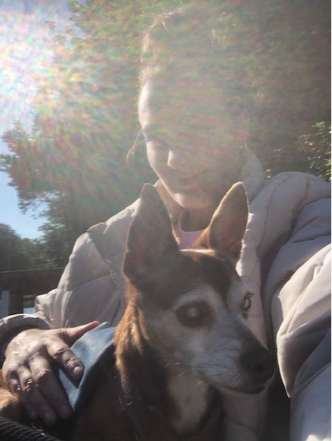 image-9