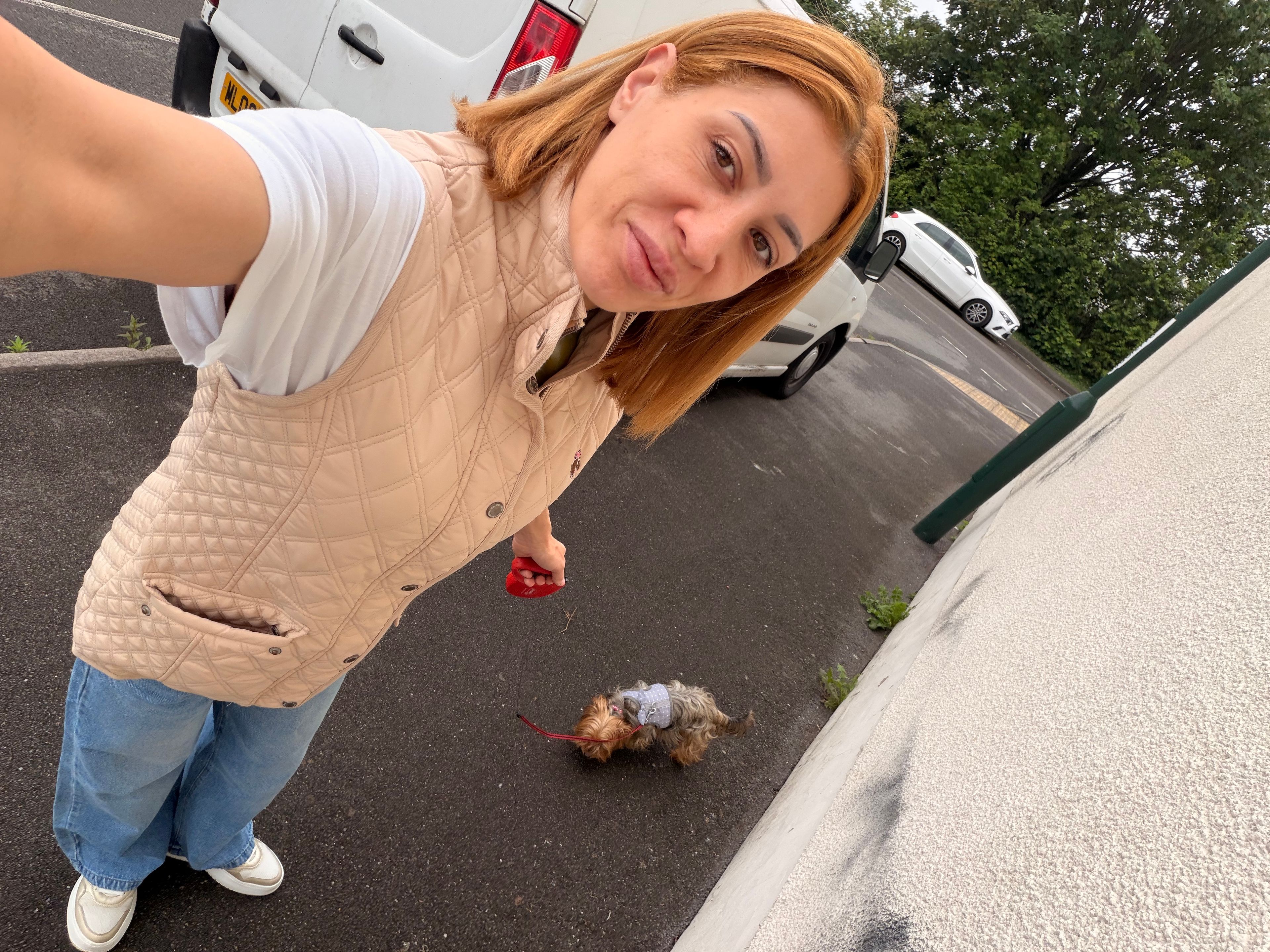 image-8