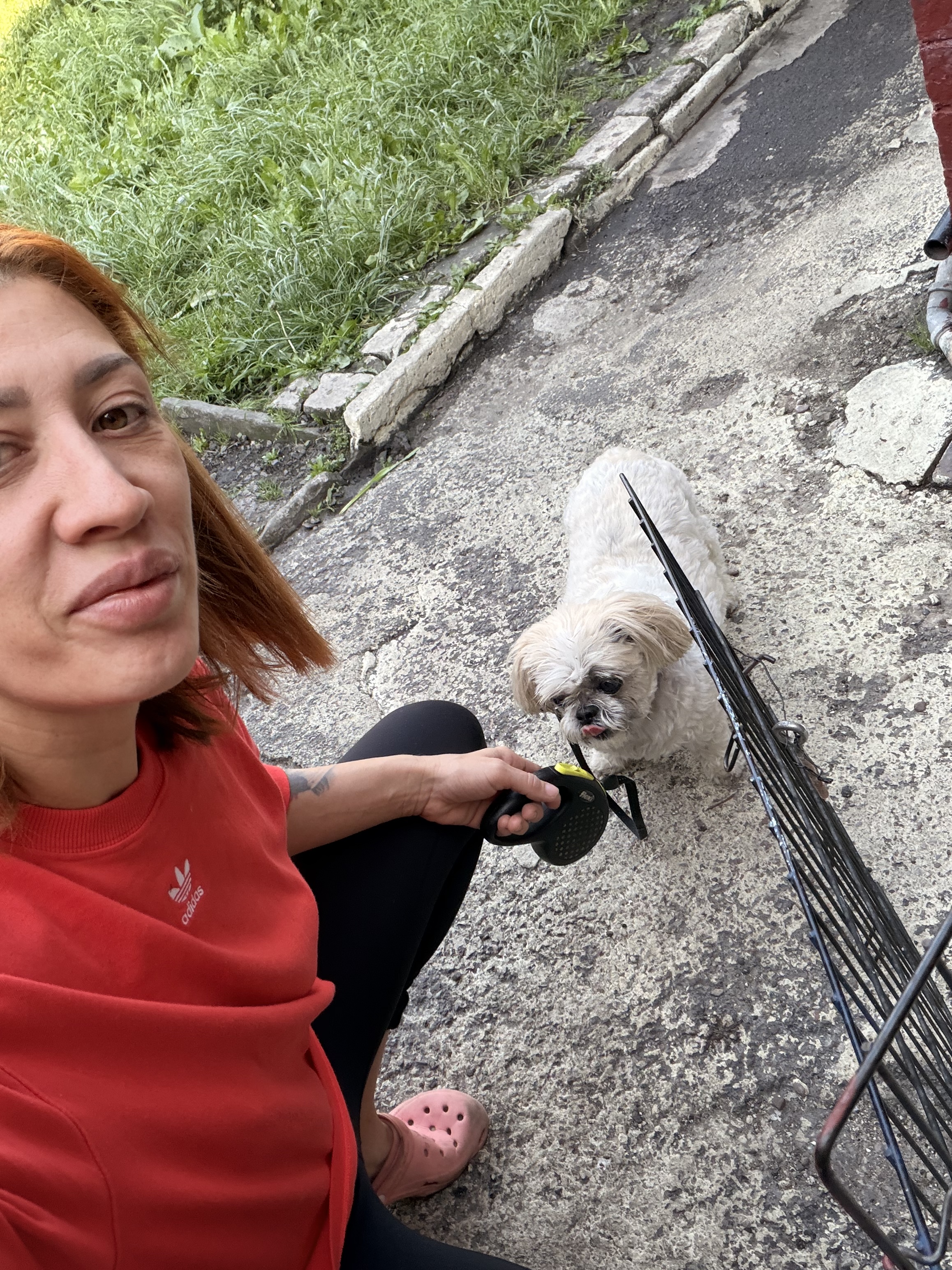 image-6