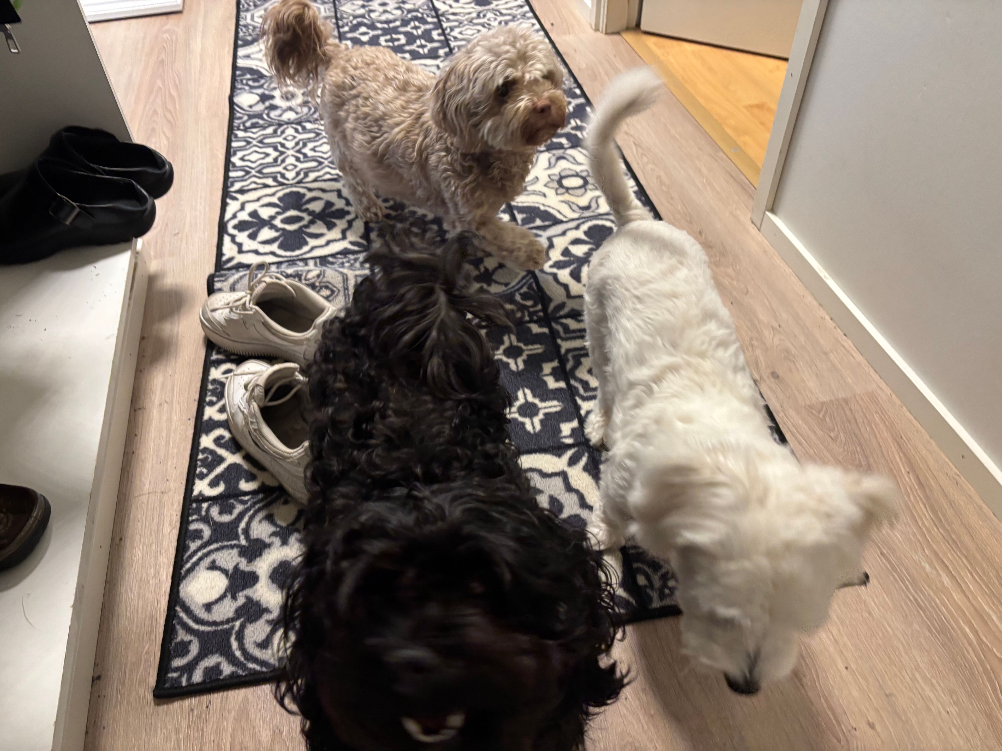image-2