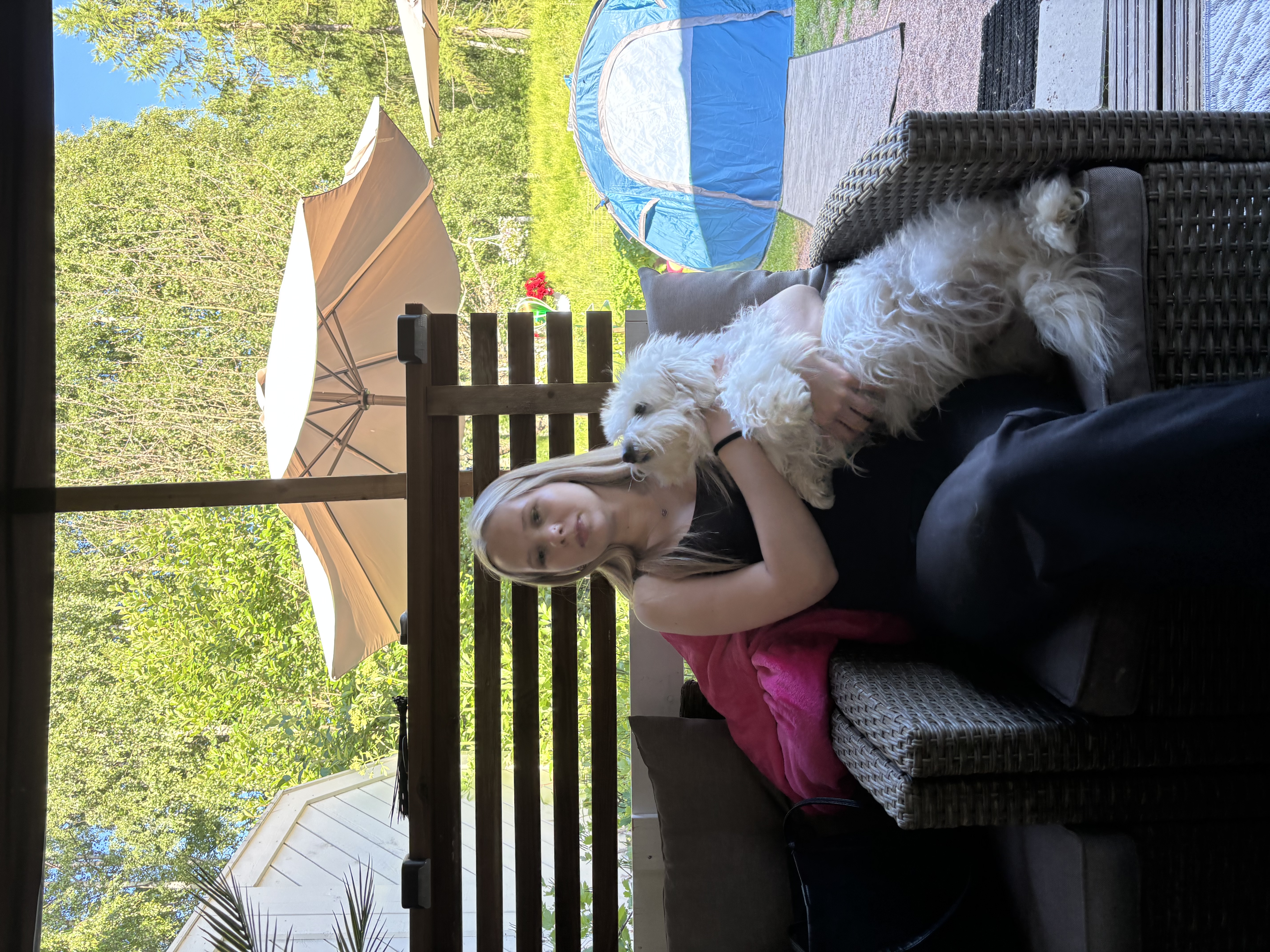 image-5