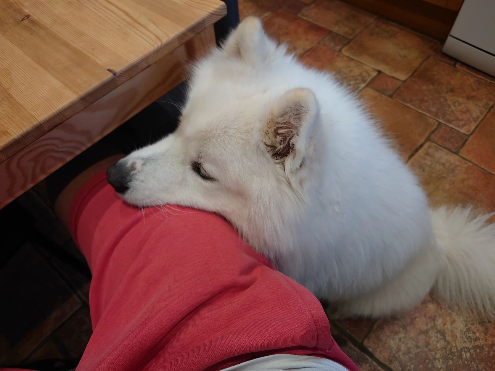 image-3