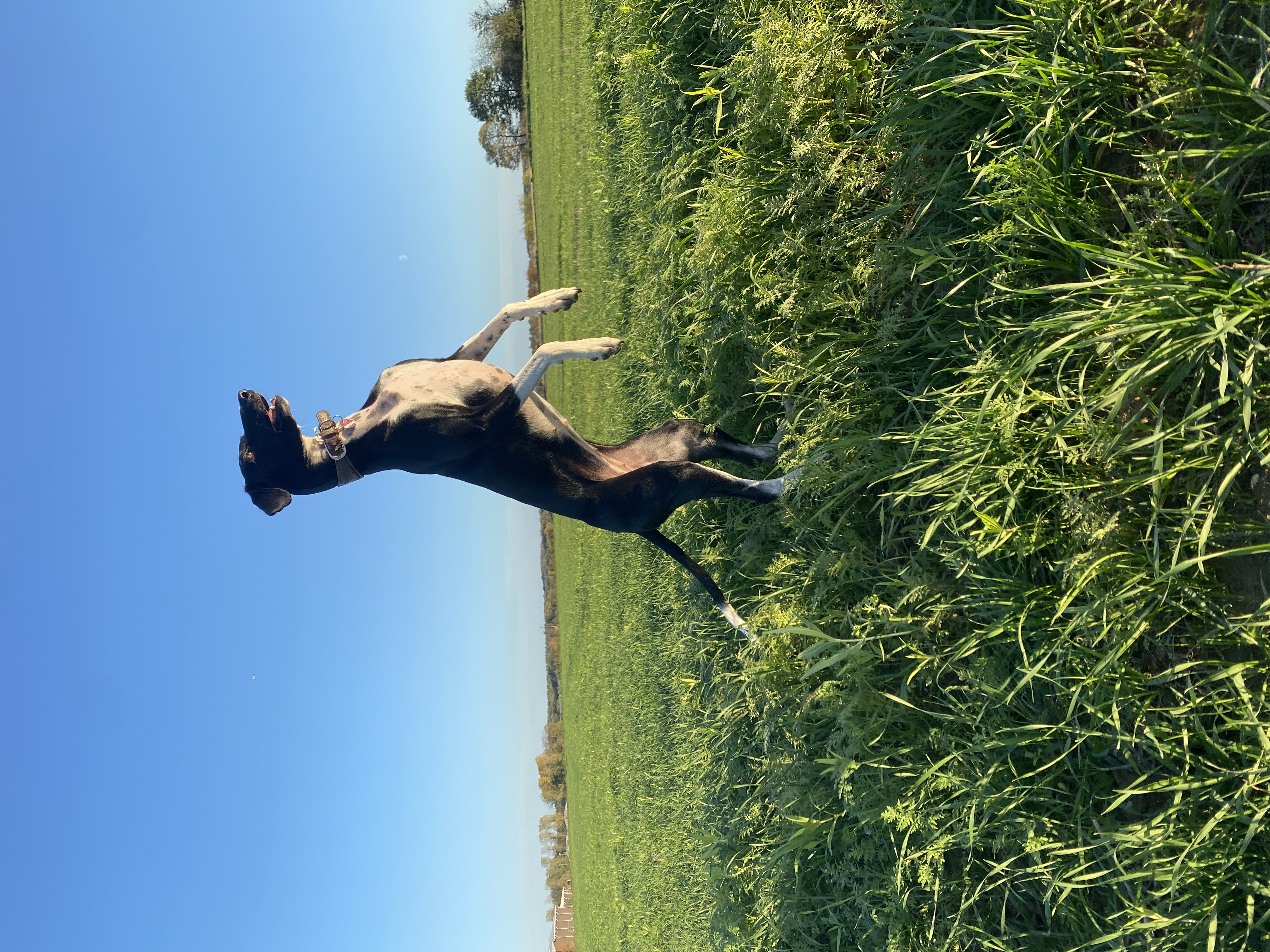 image-7