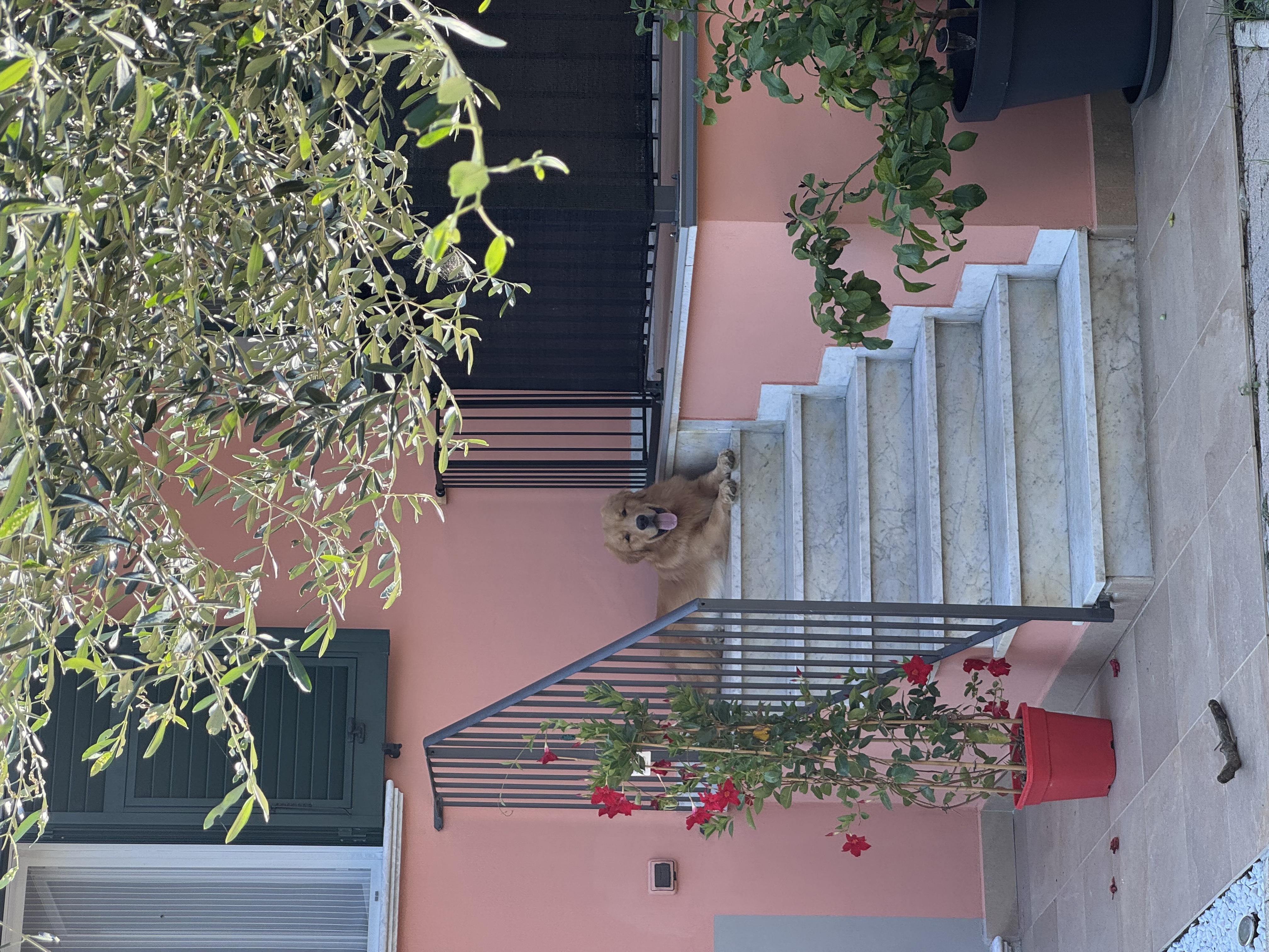 image-11