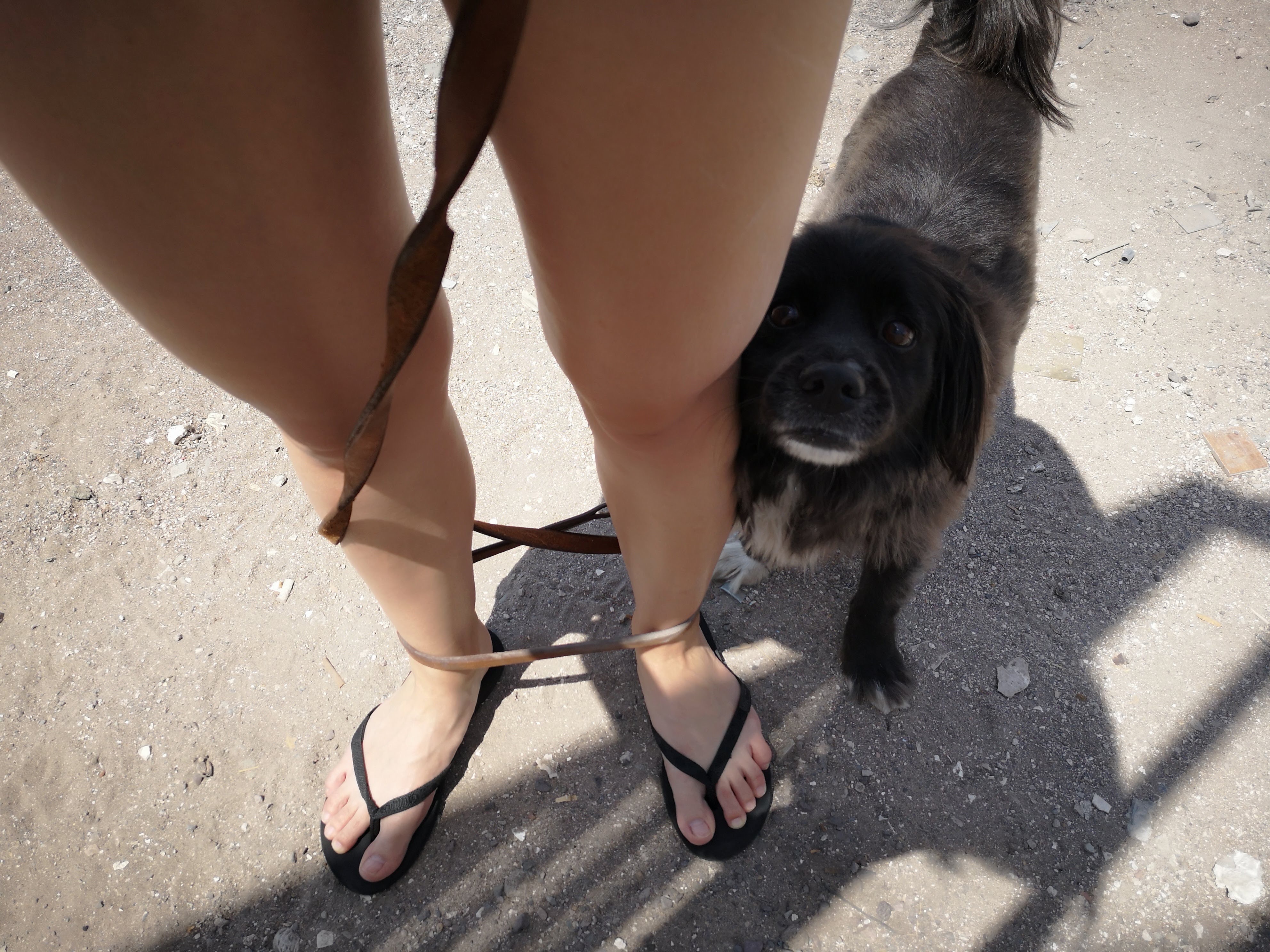 image-8