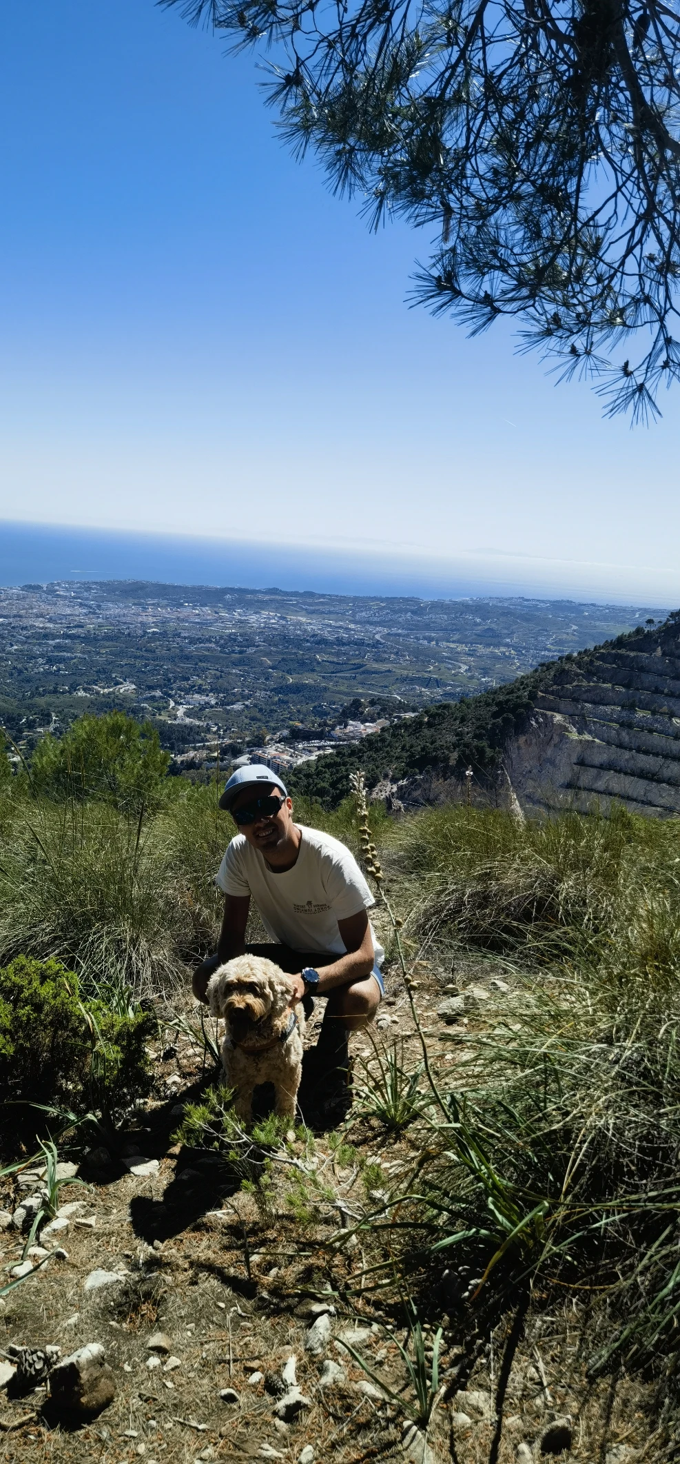 image-3