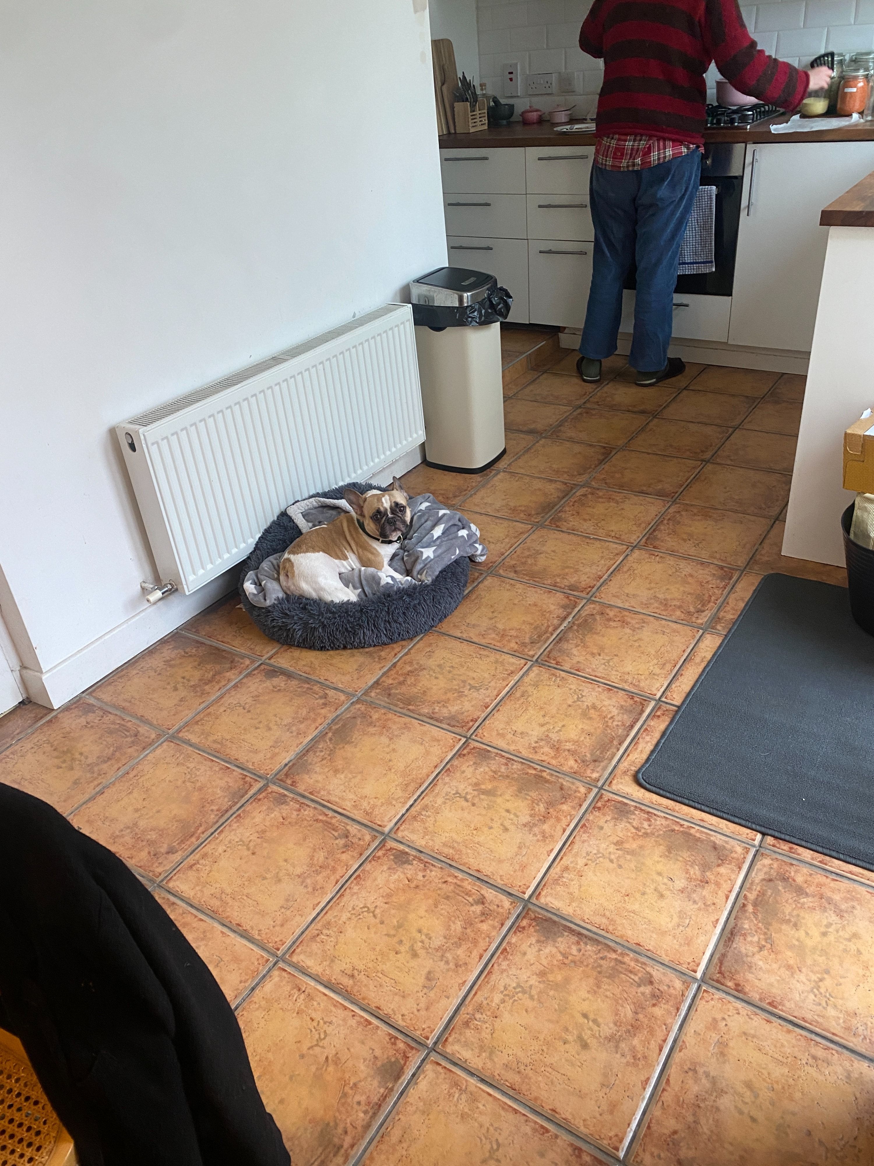 image-5