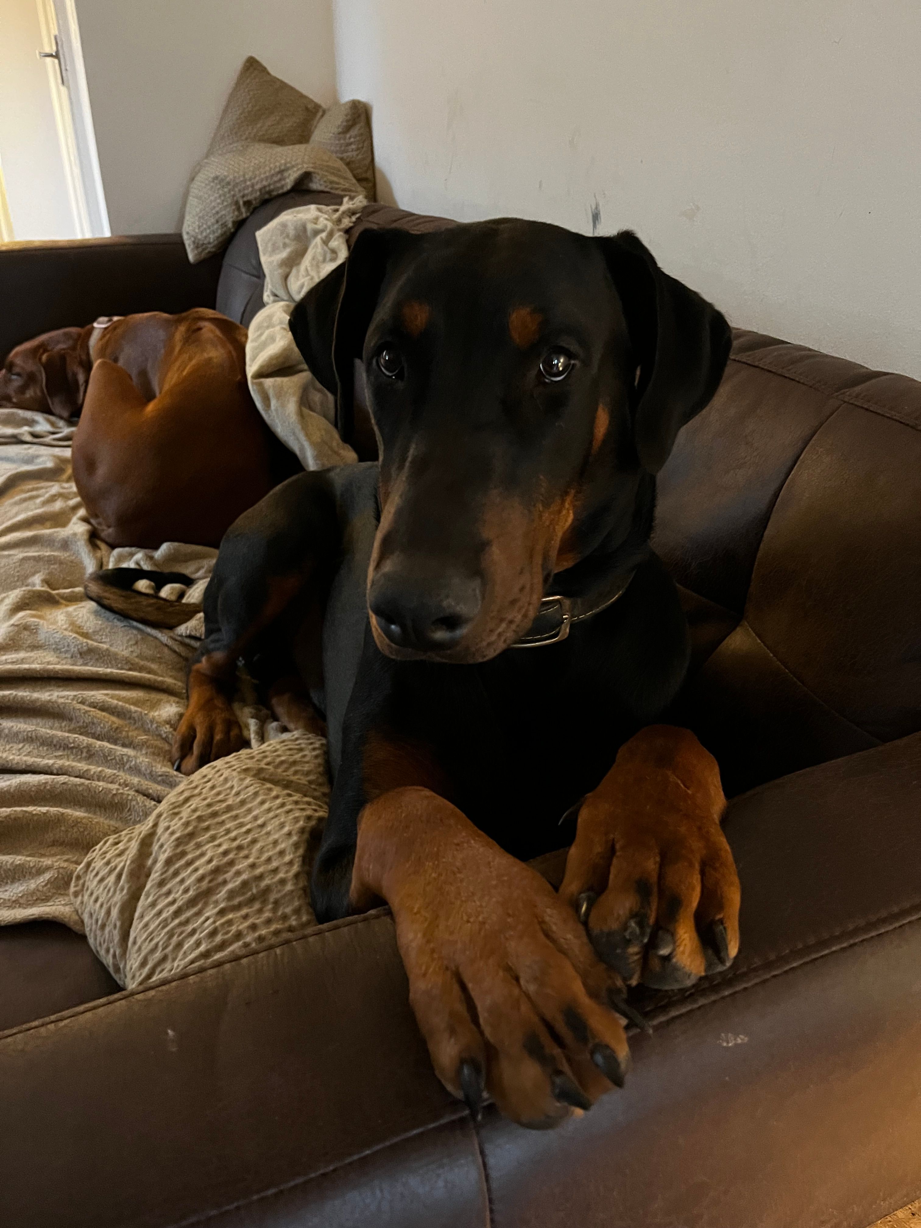 image-11