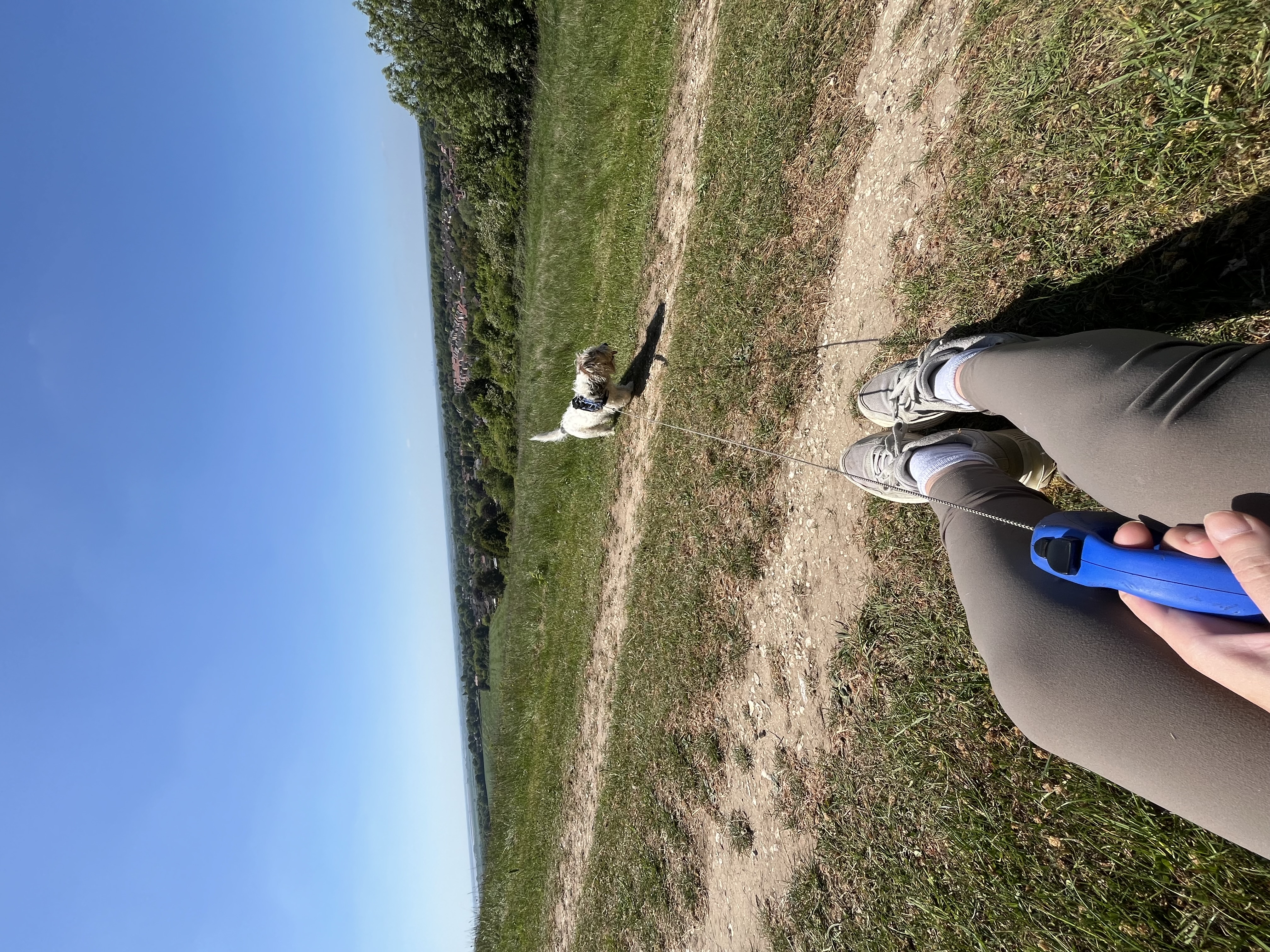 image-10