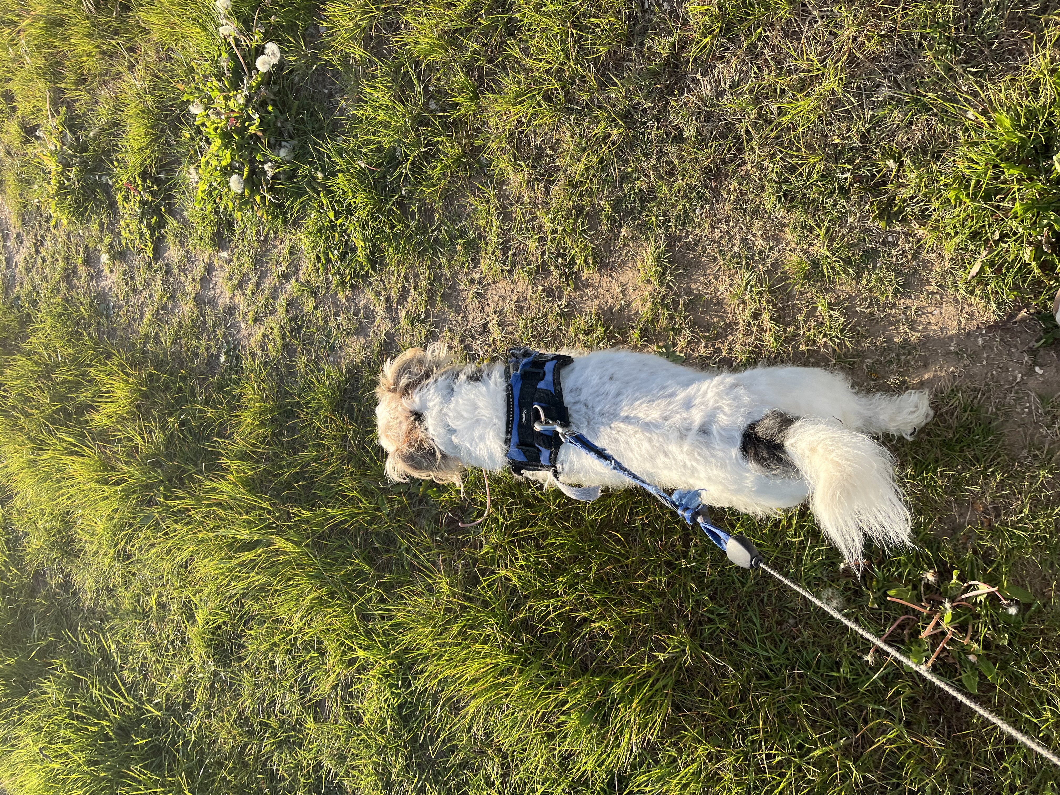 image-9