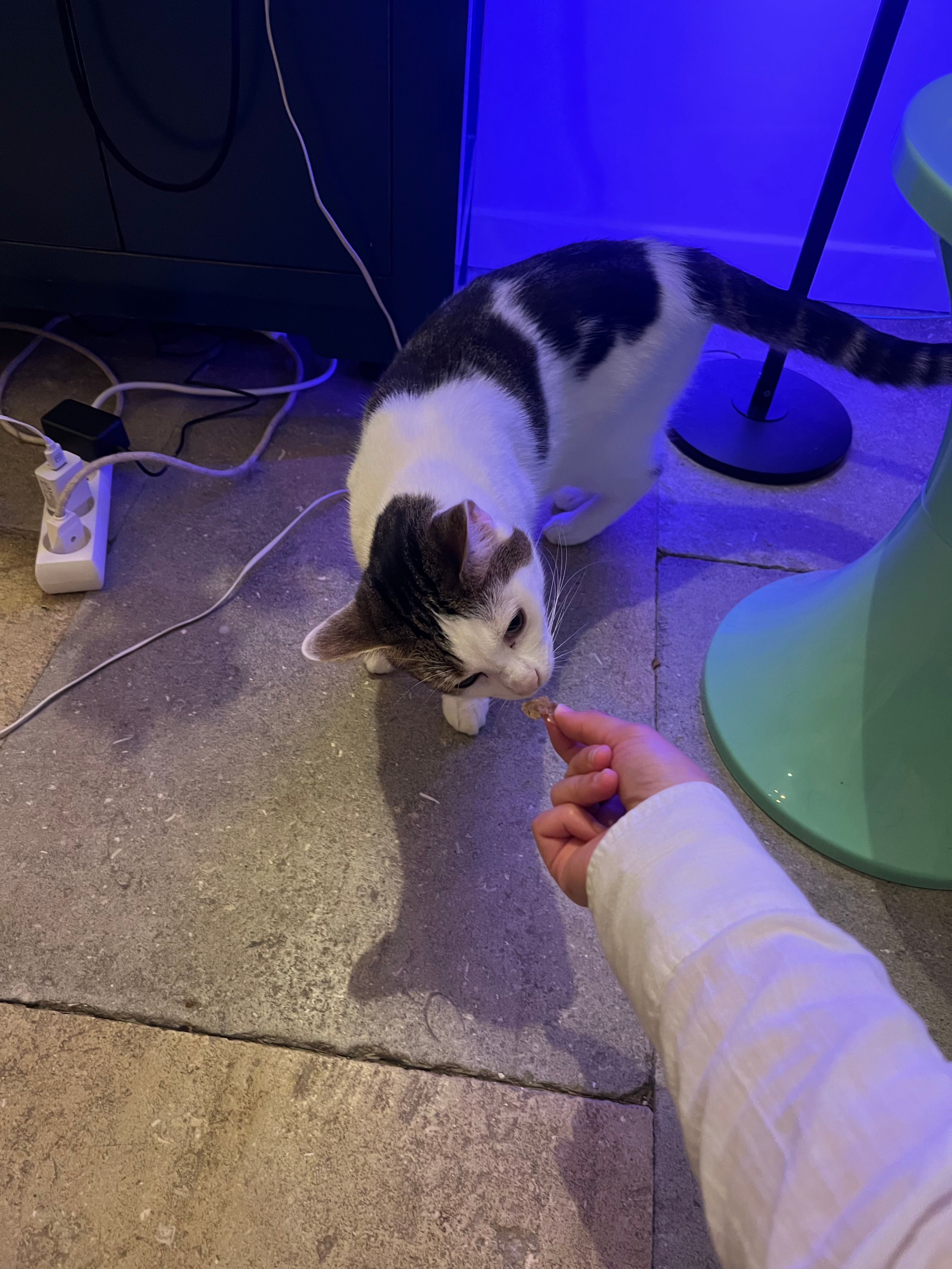 image-7
