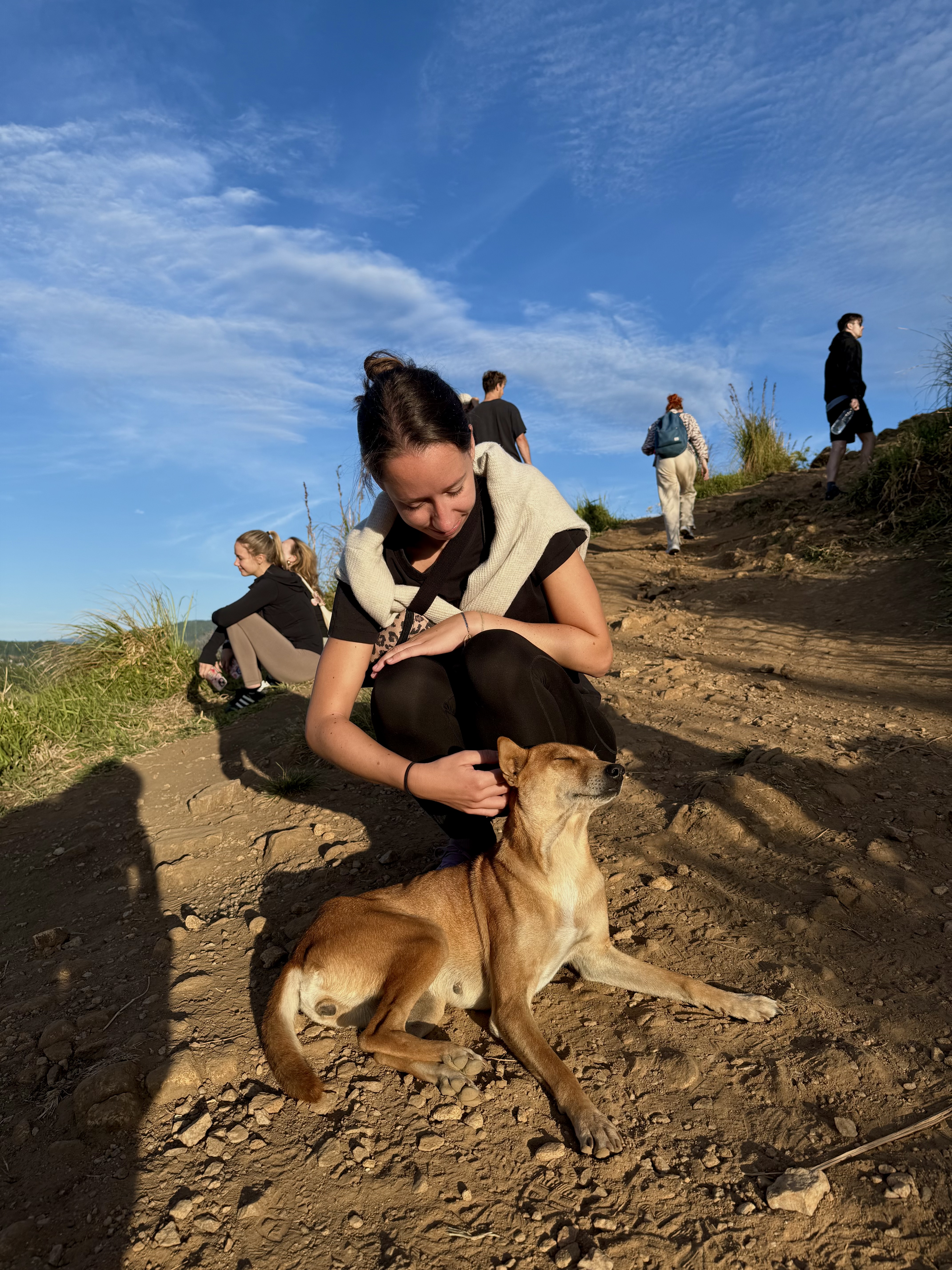 image-4