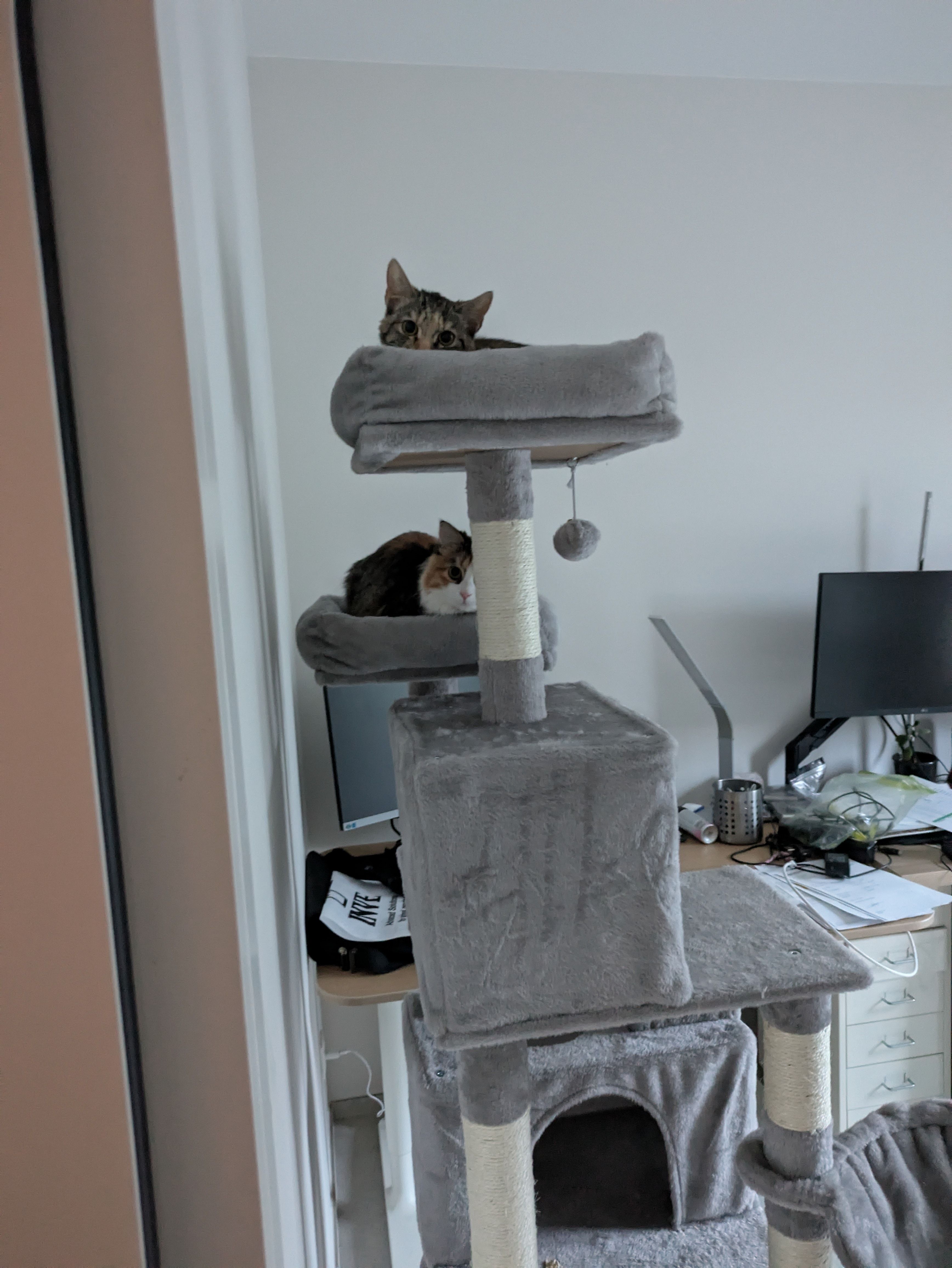 image-8
