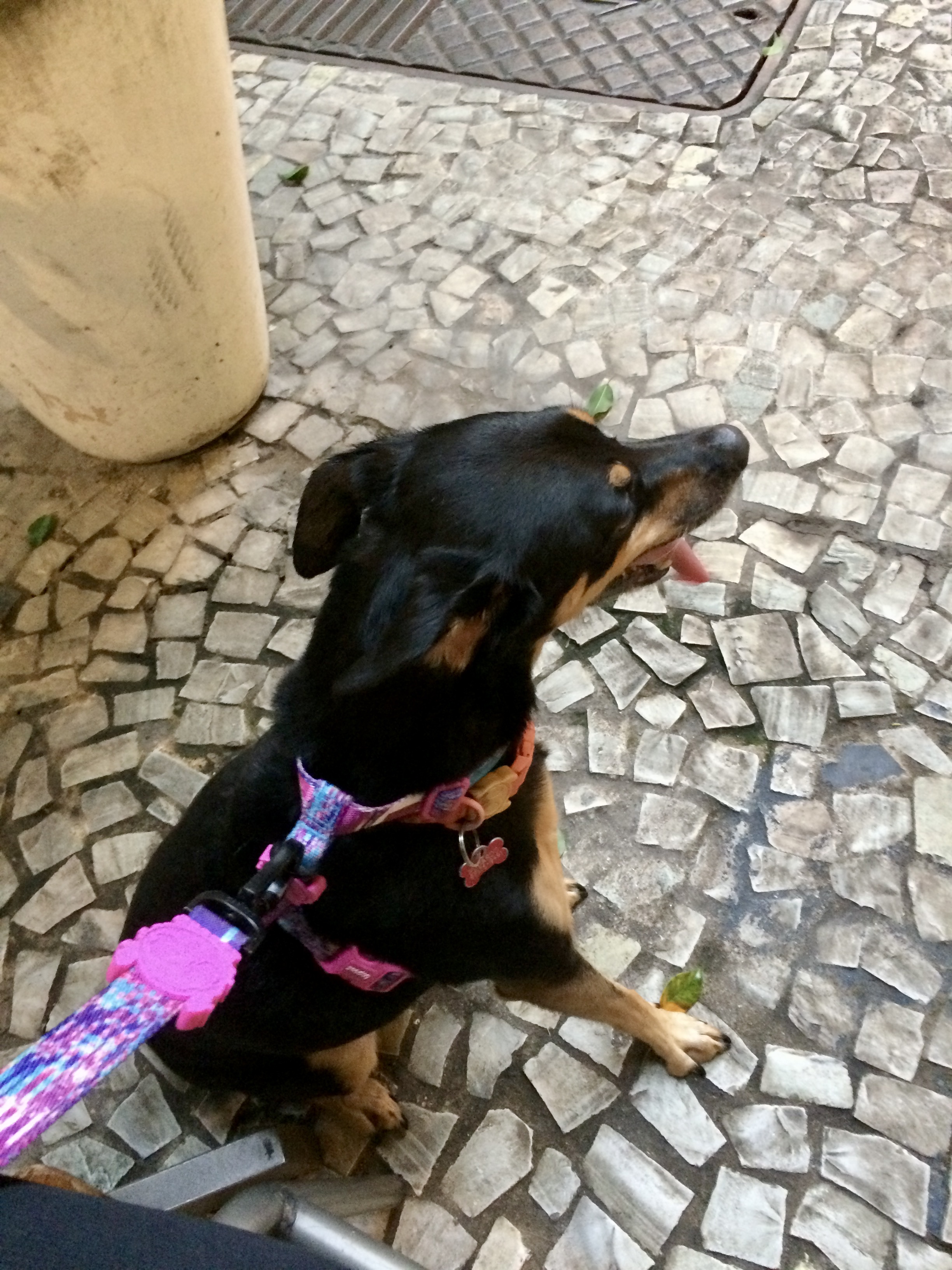 image-6