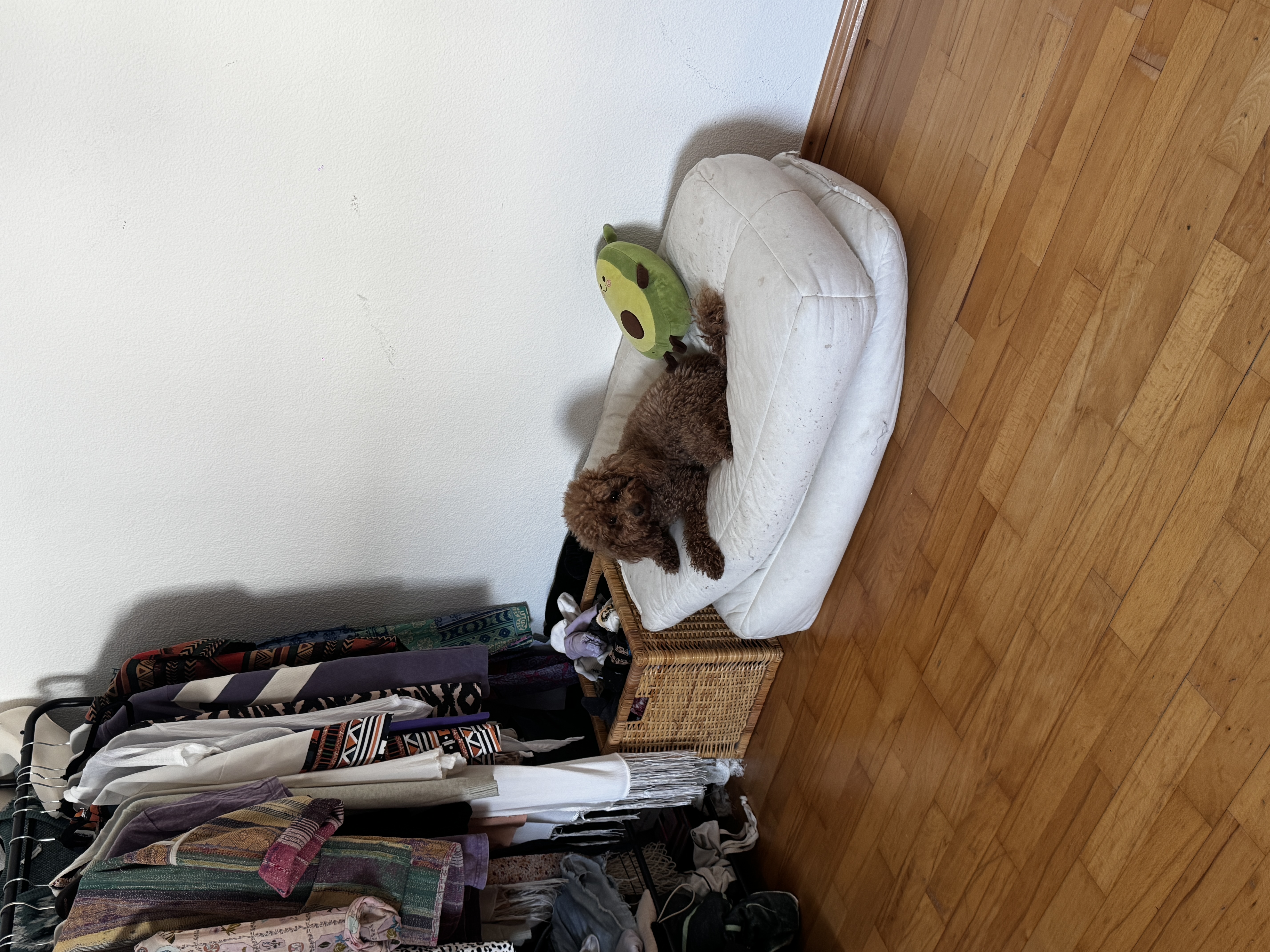 image-15