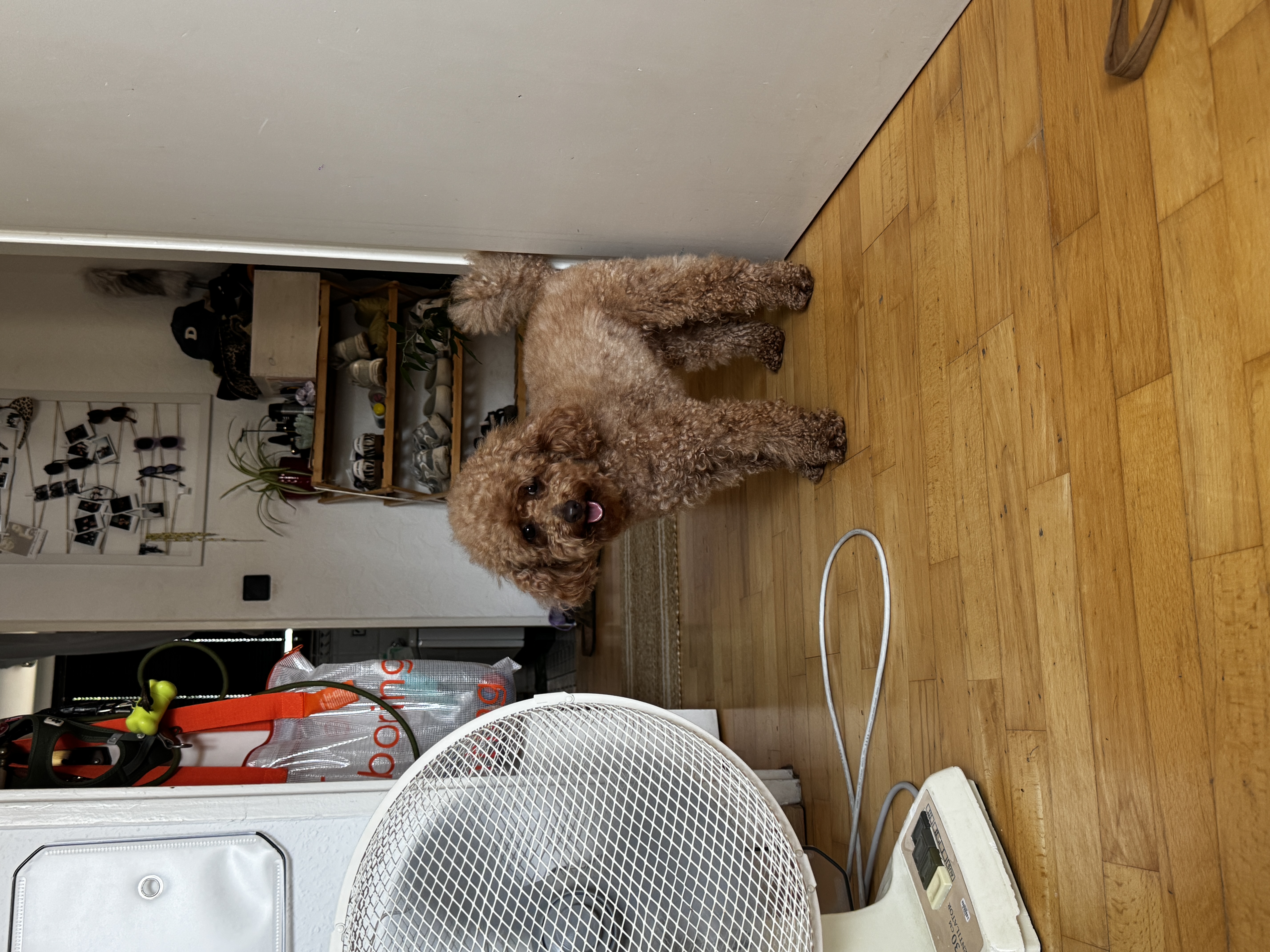 image-9