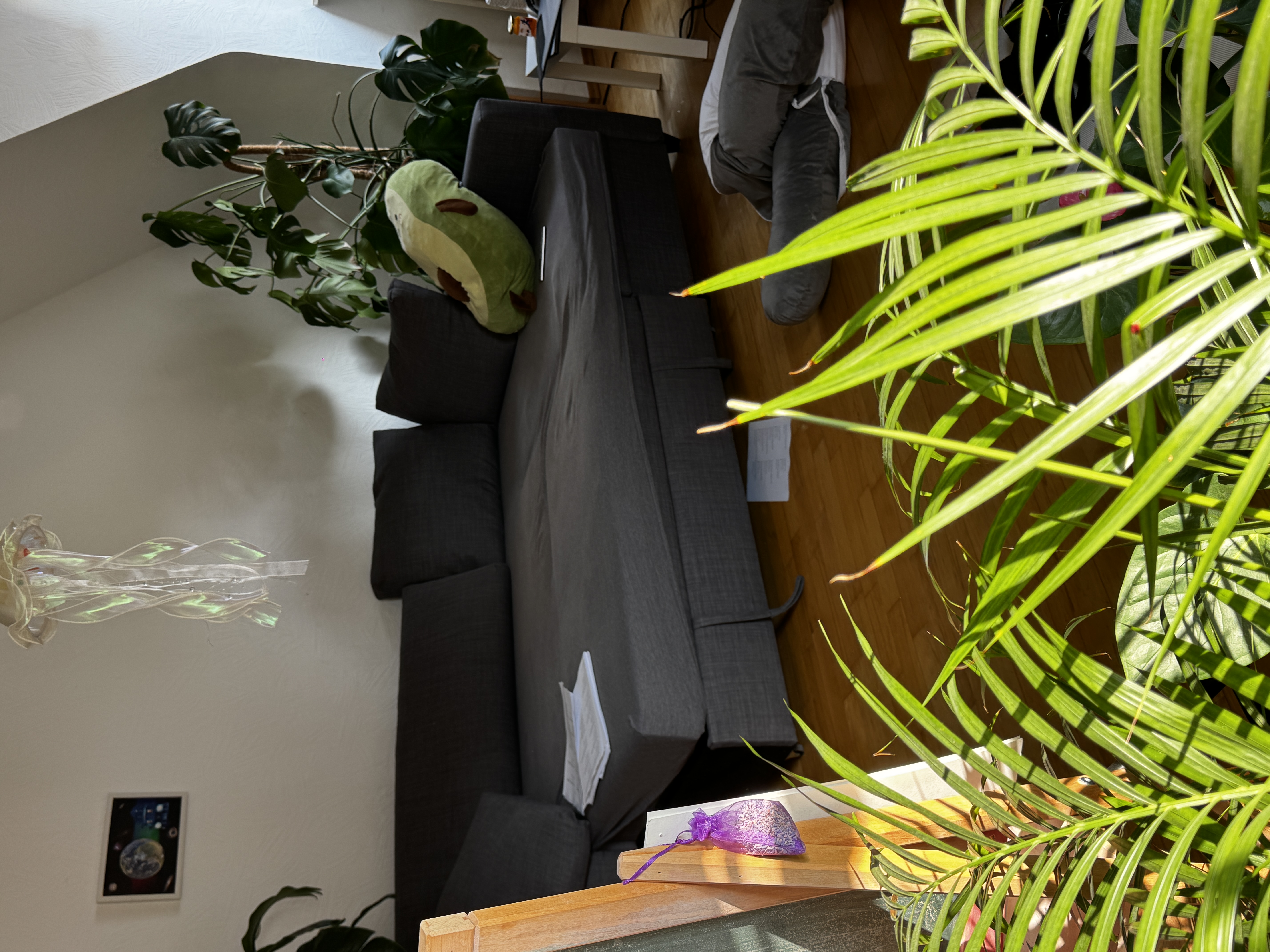image-15
