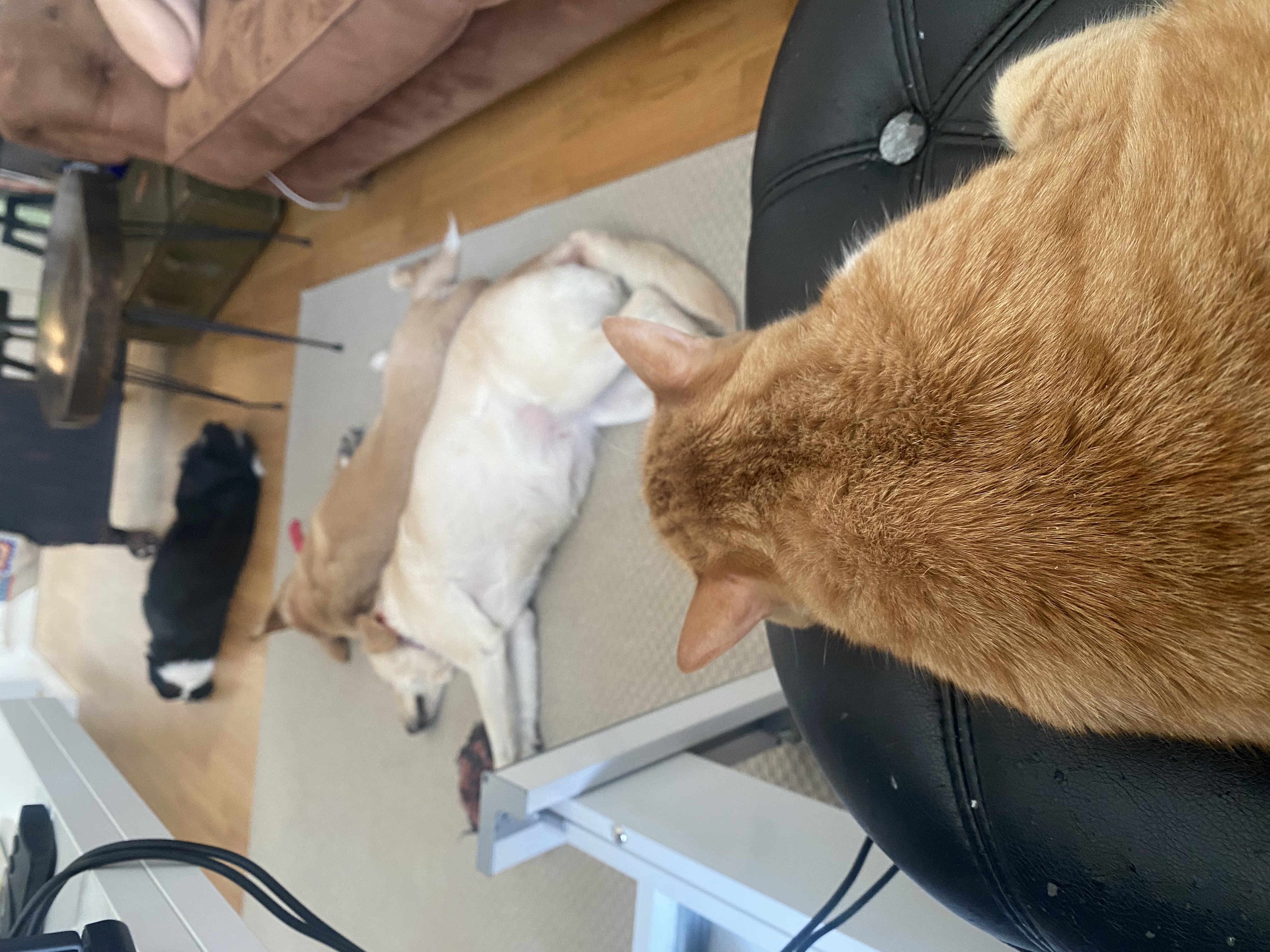 image-18
