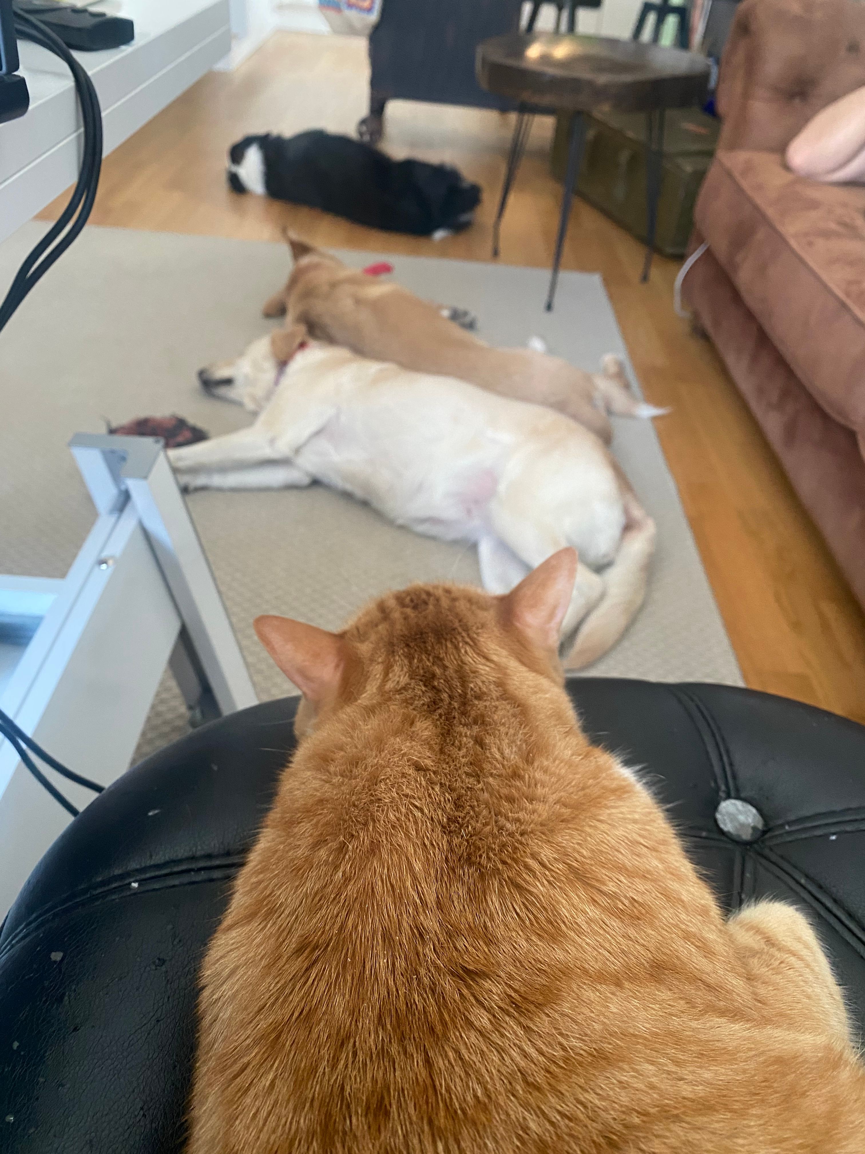 image-18