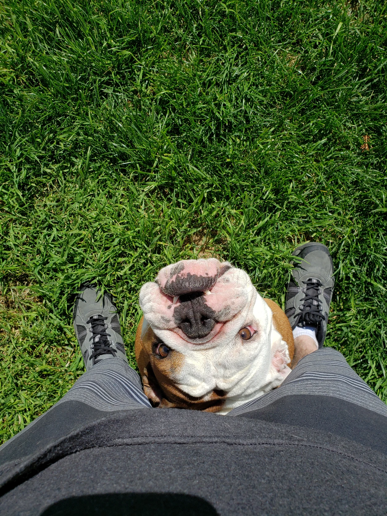 image-1