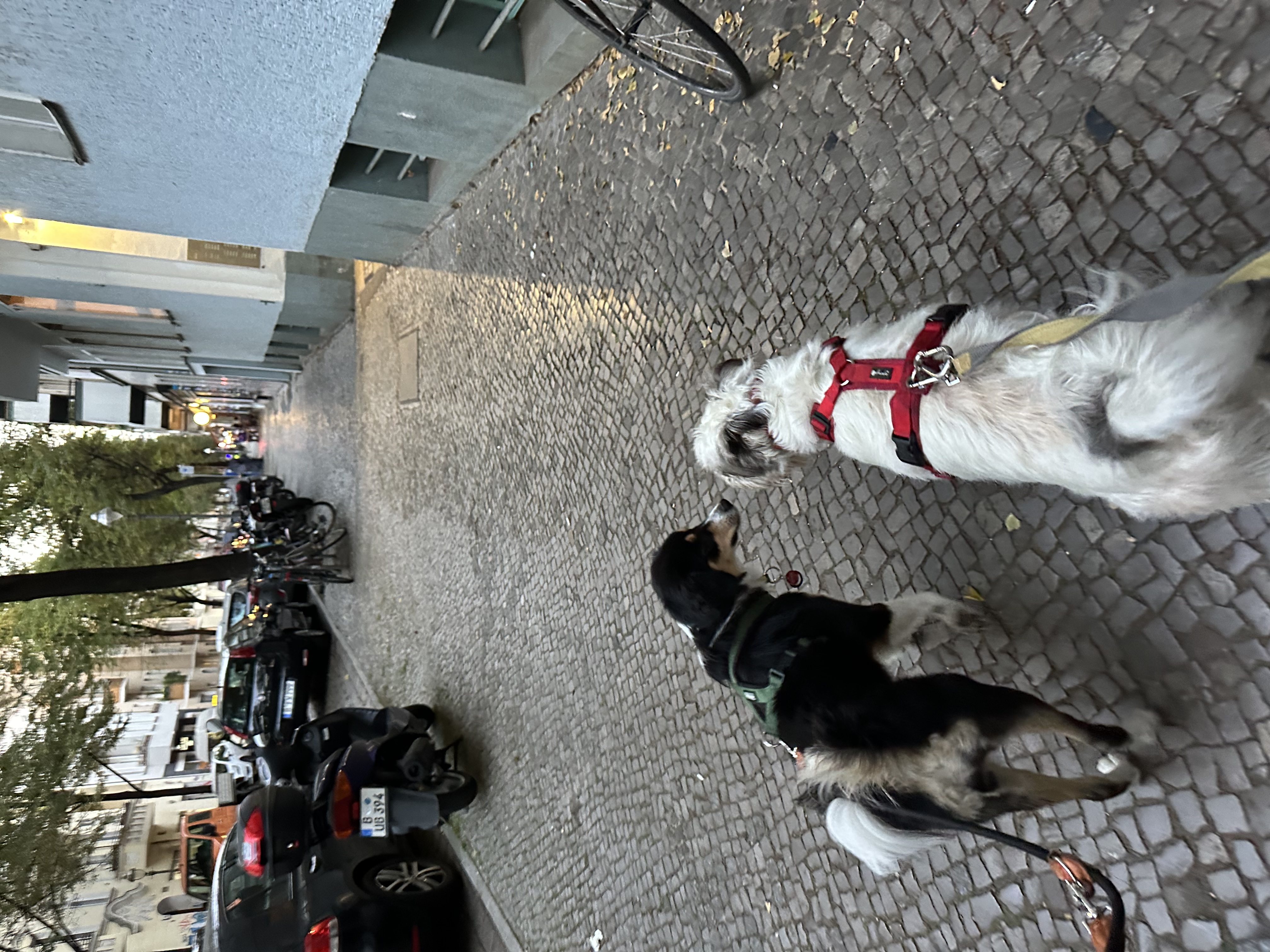 image-48