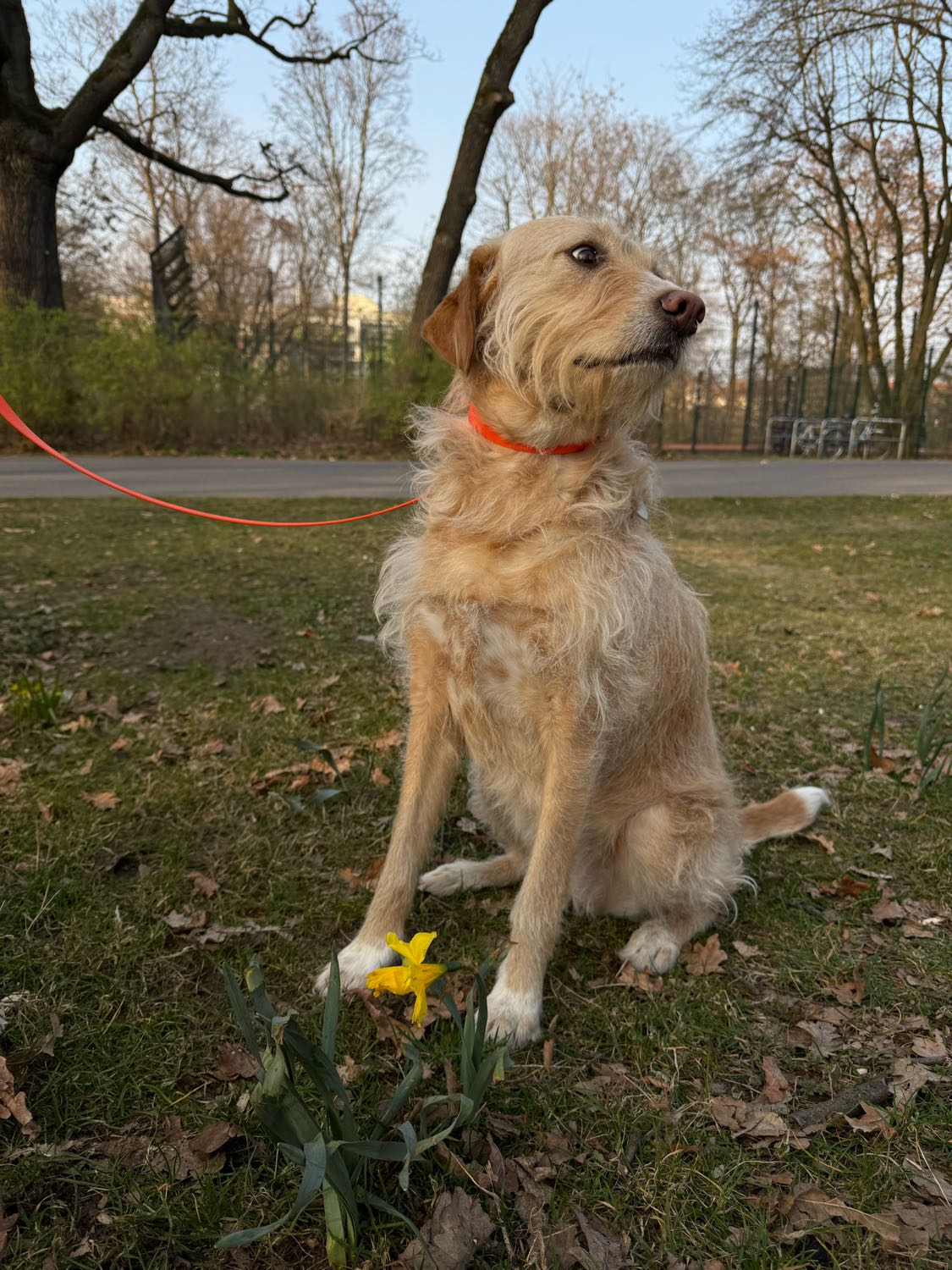 image-41