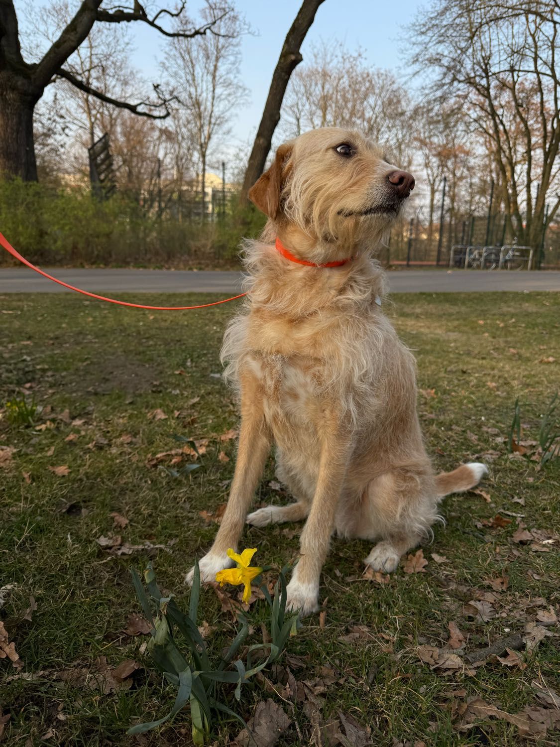 image-41