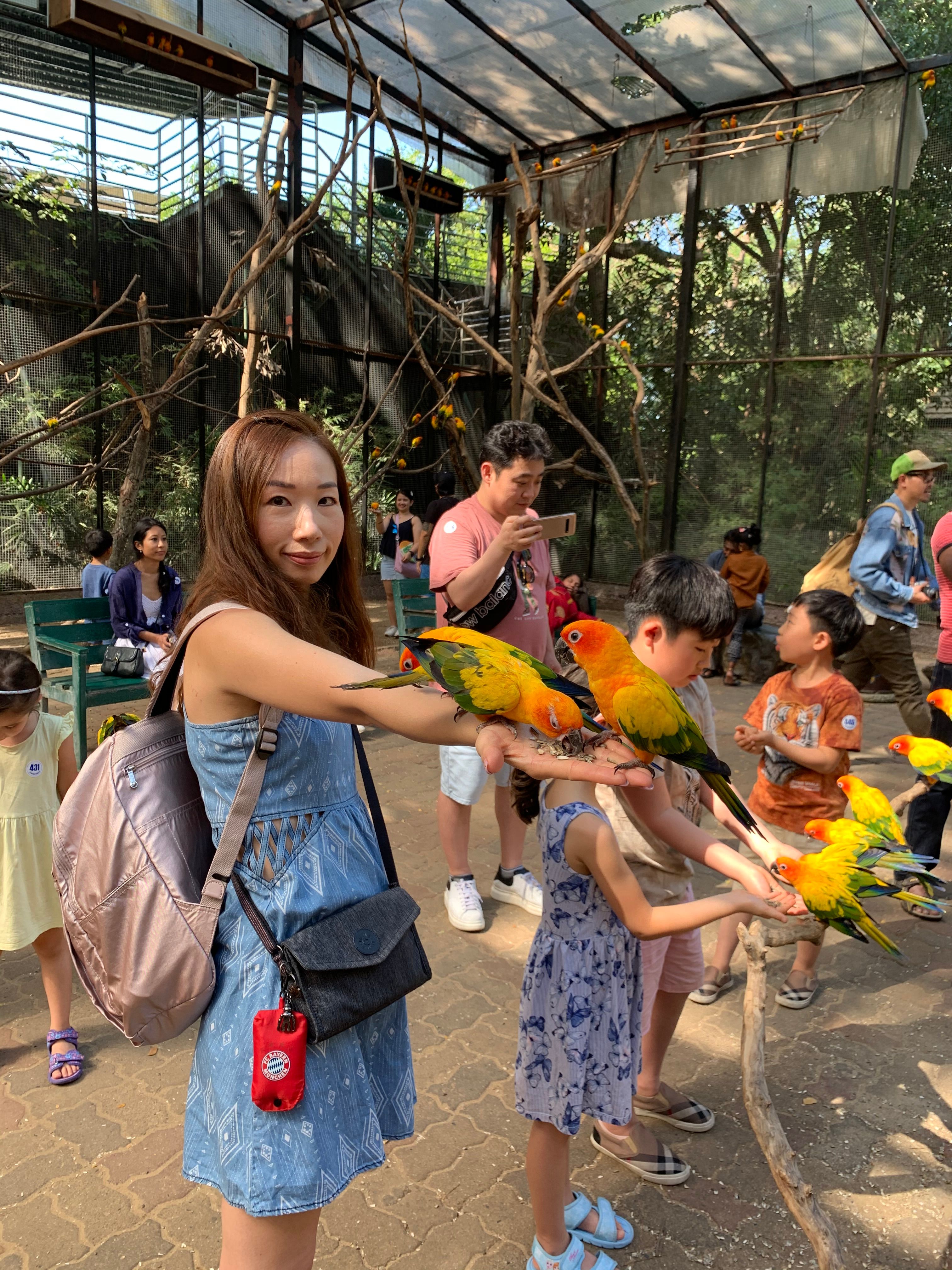 image-7