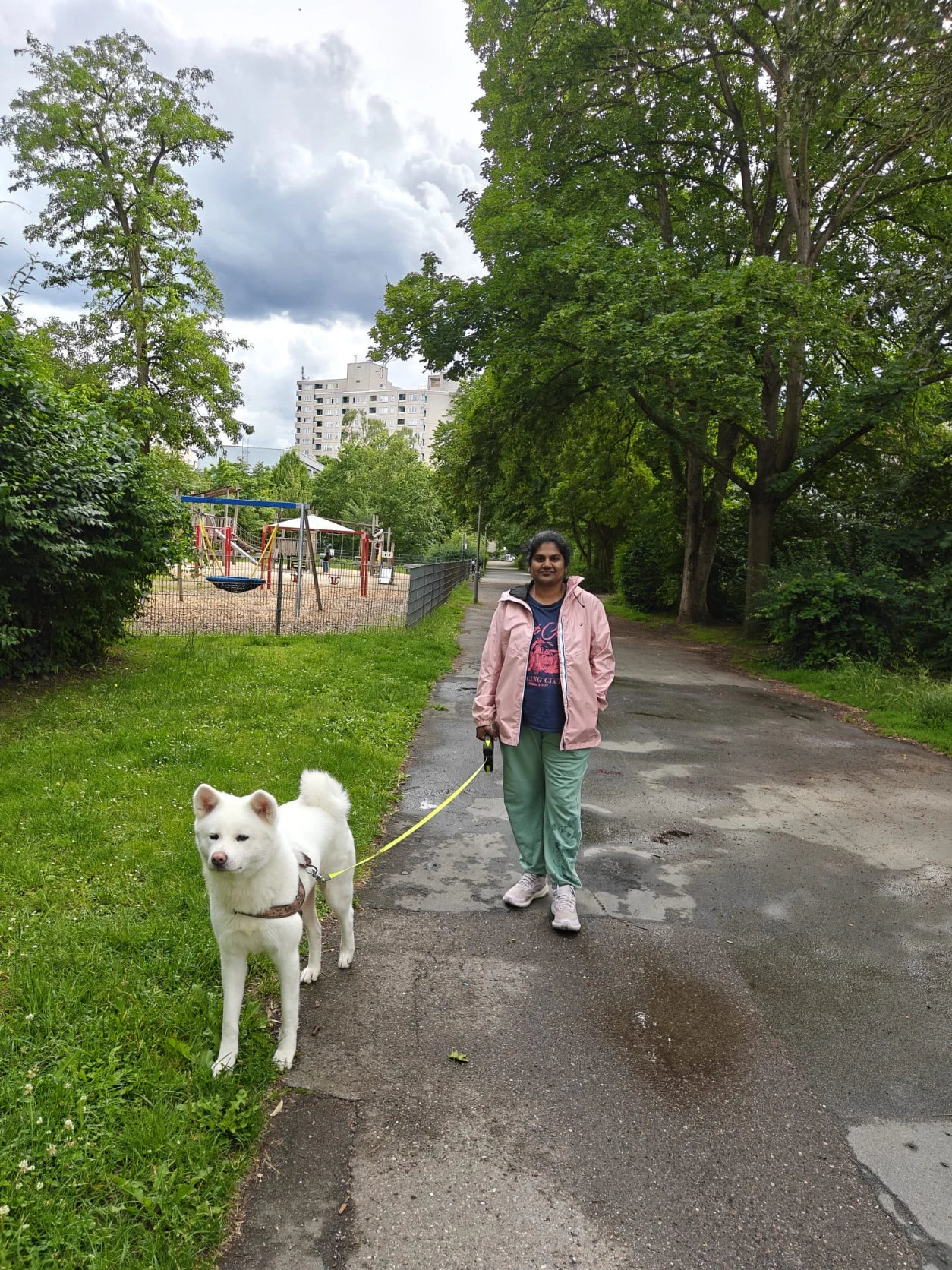image-3