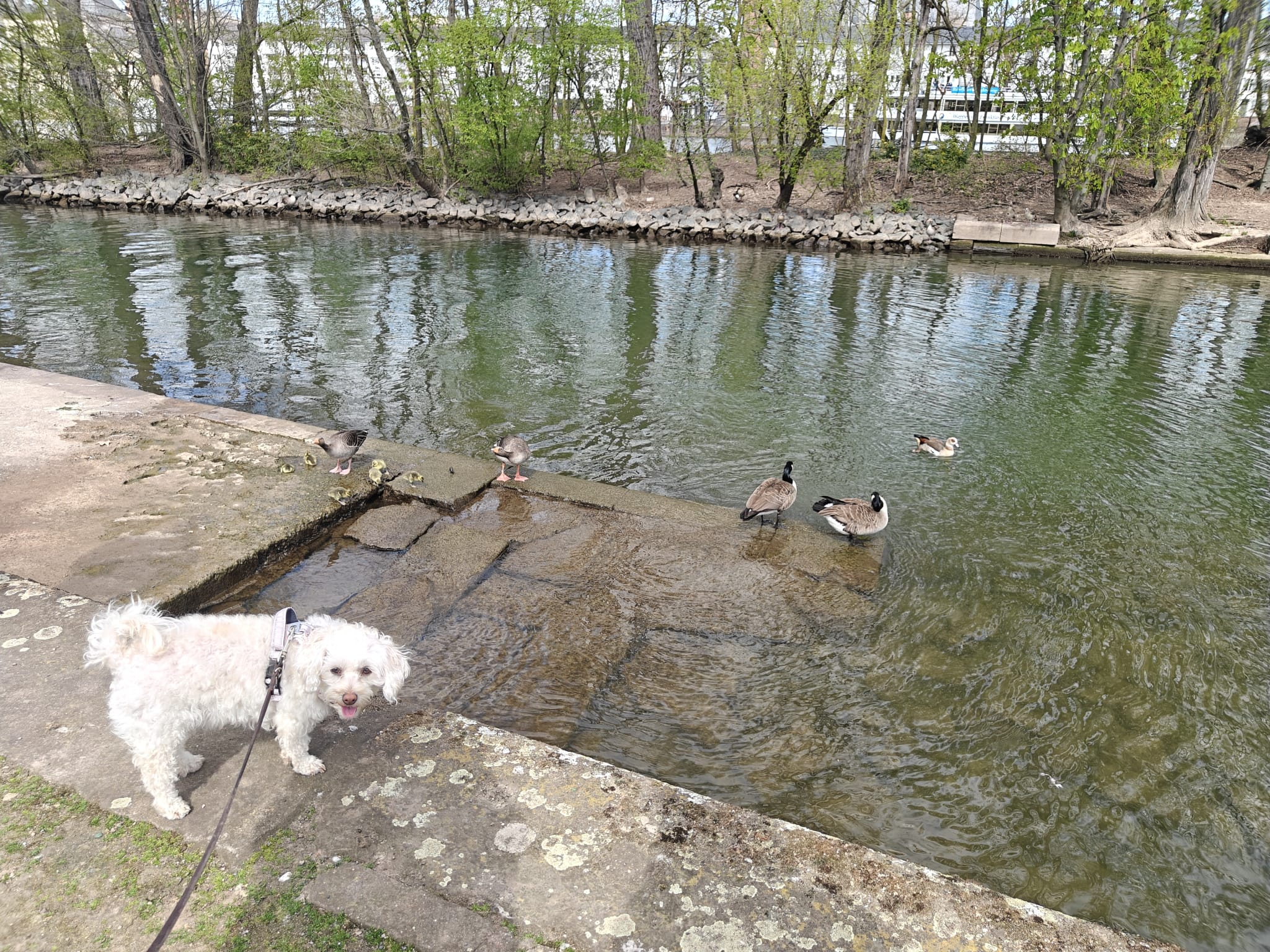 image-34