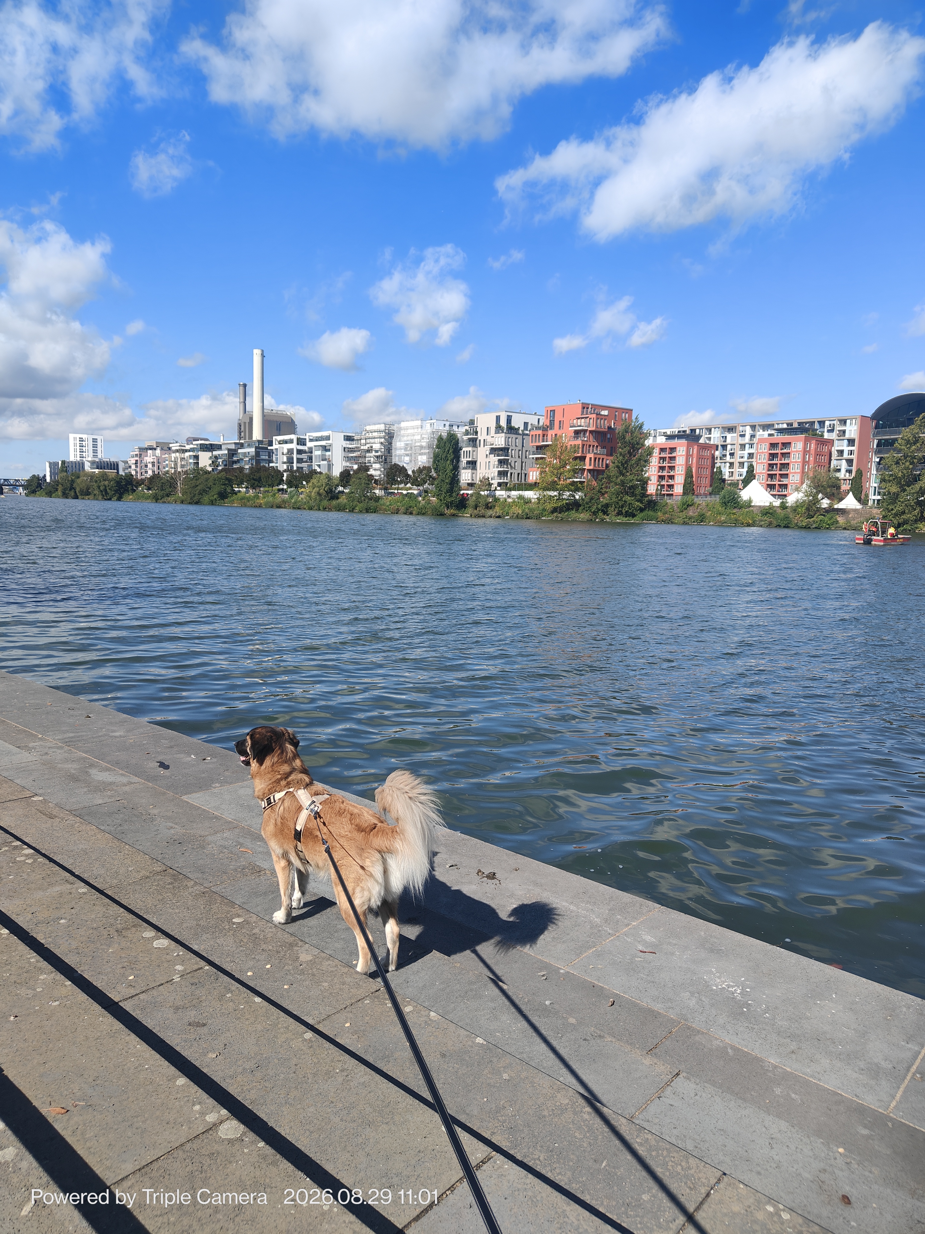 image-37