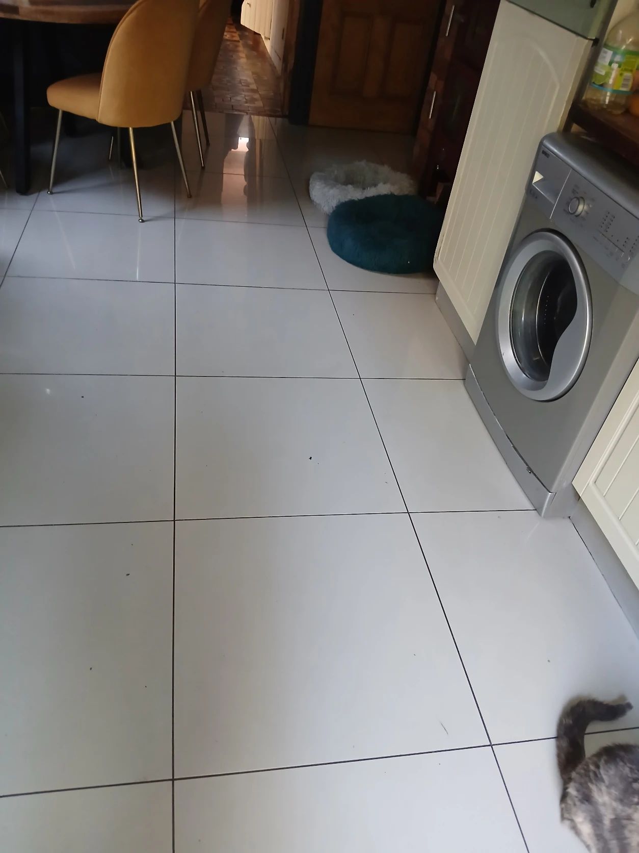 image-7