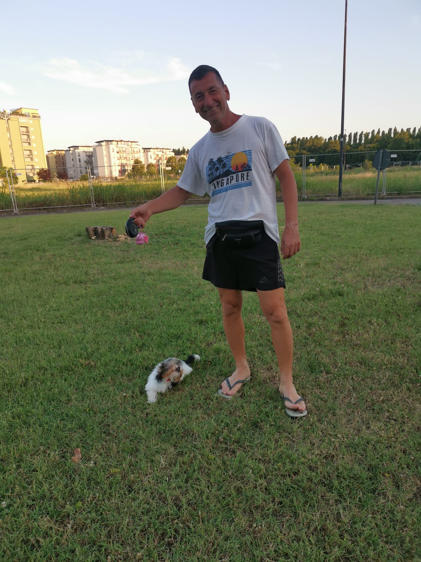 image-4