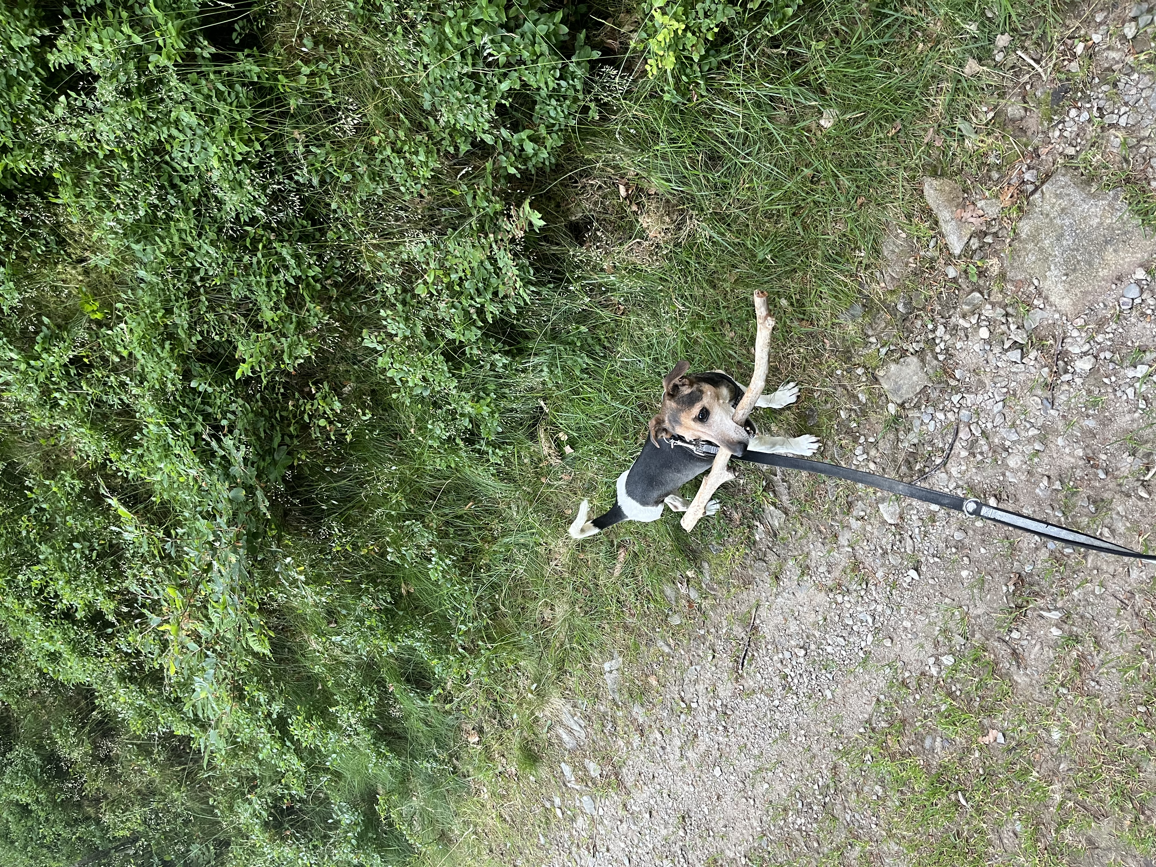 image-11