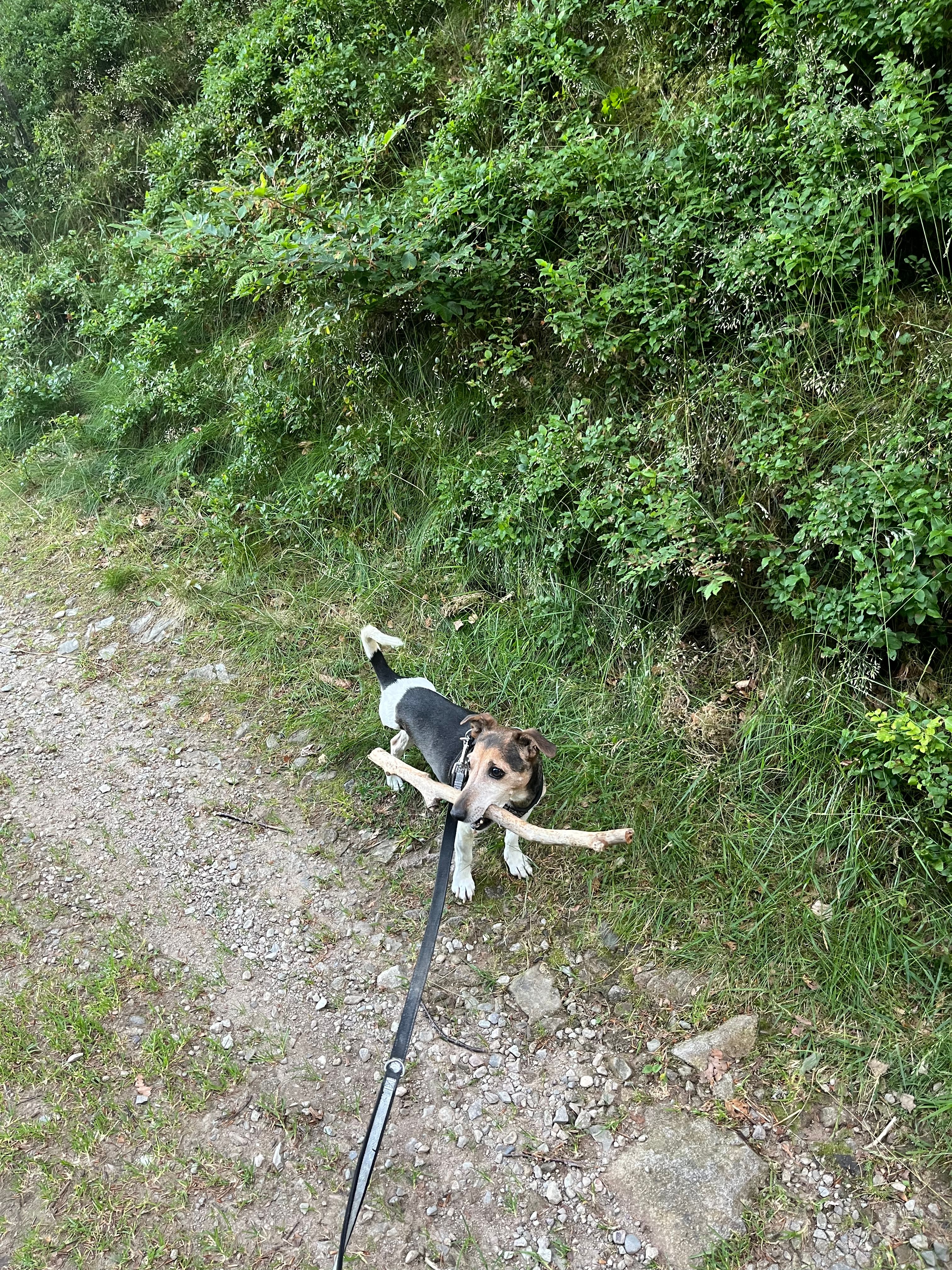 image-11