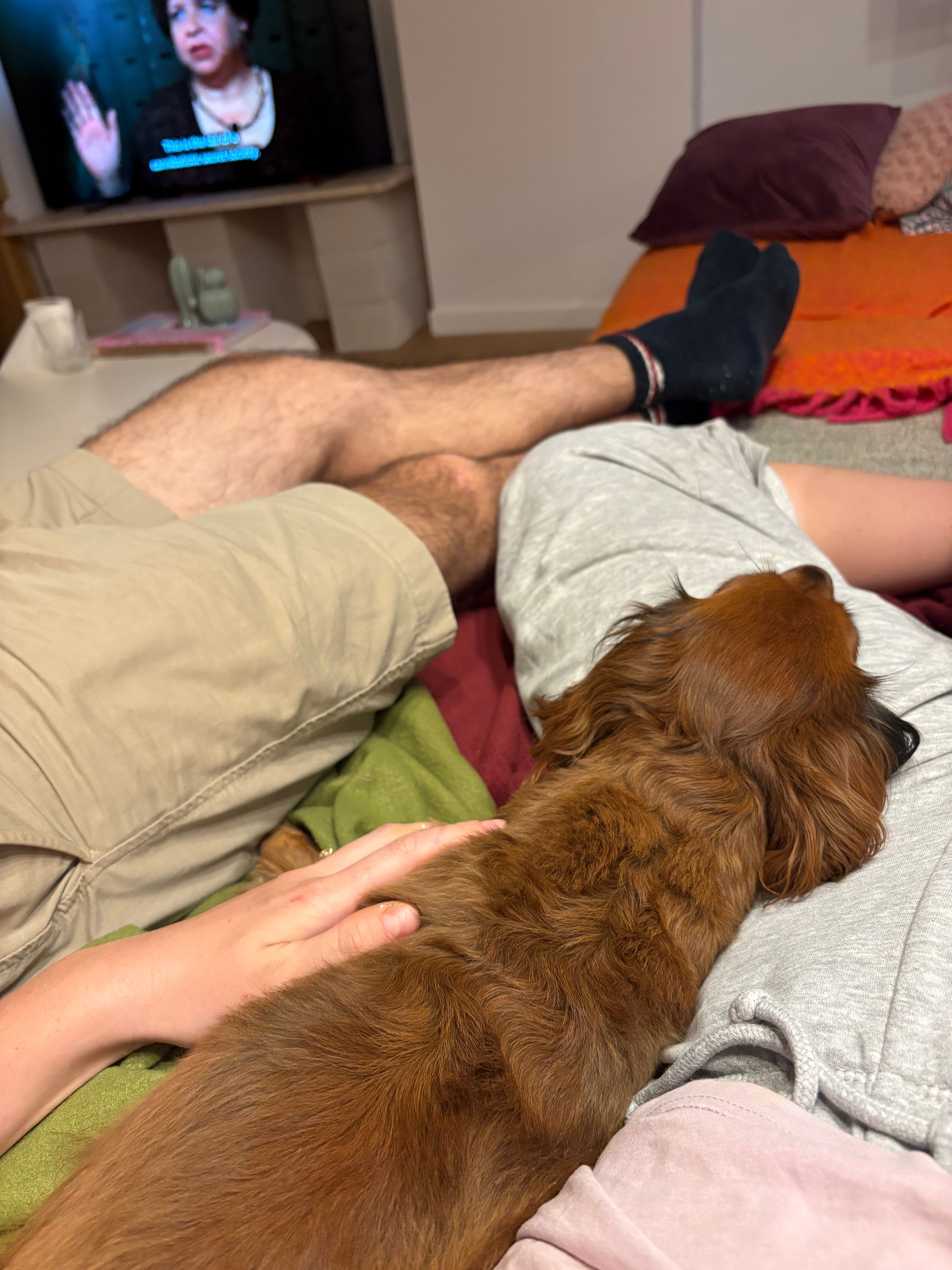 image-10