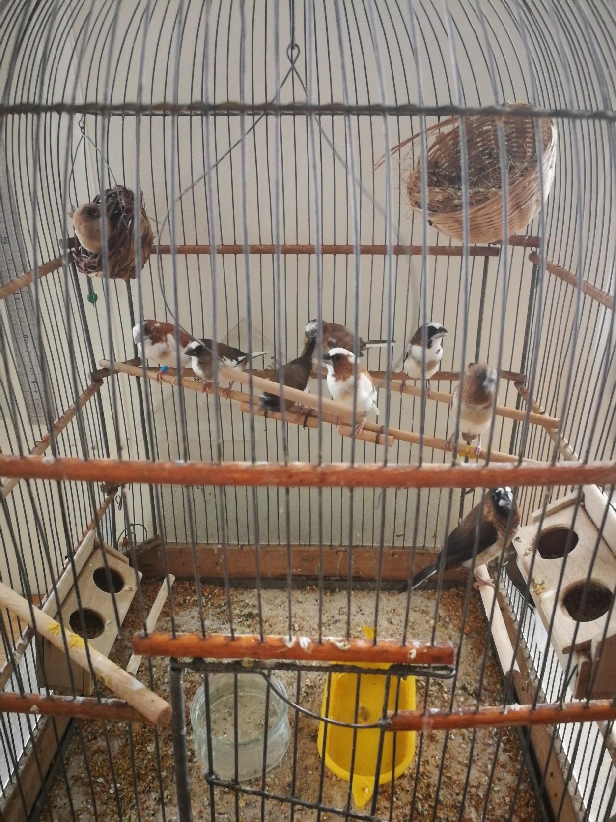 image-10