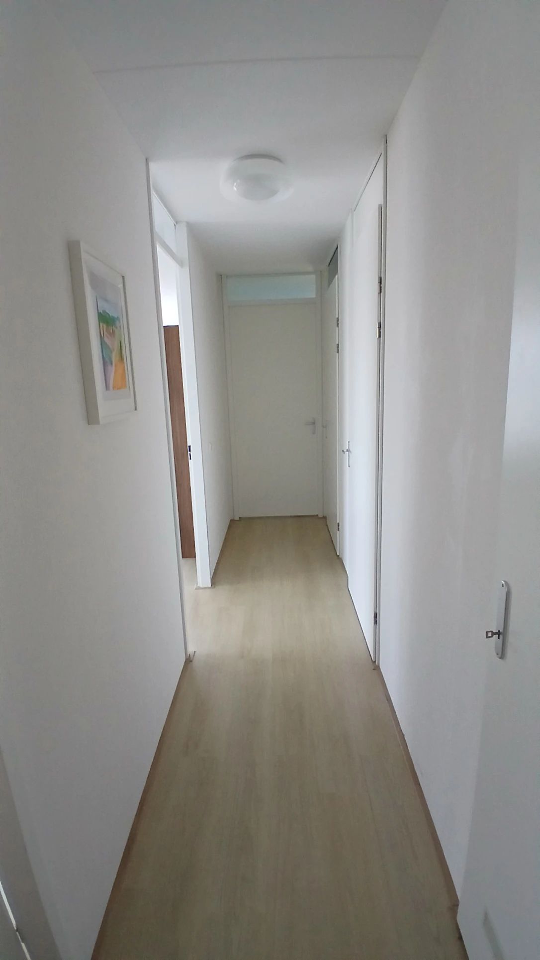 image-17