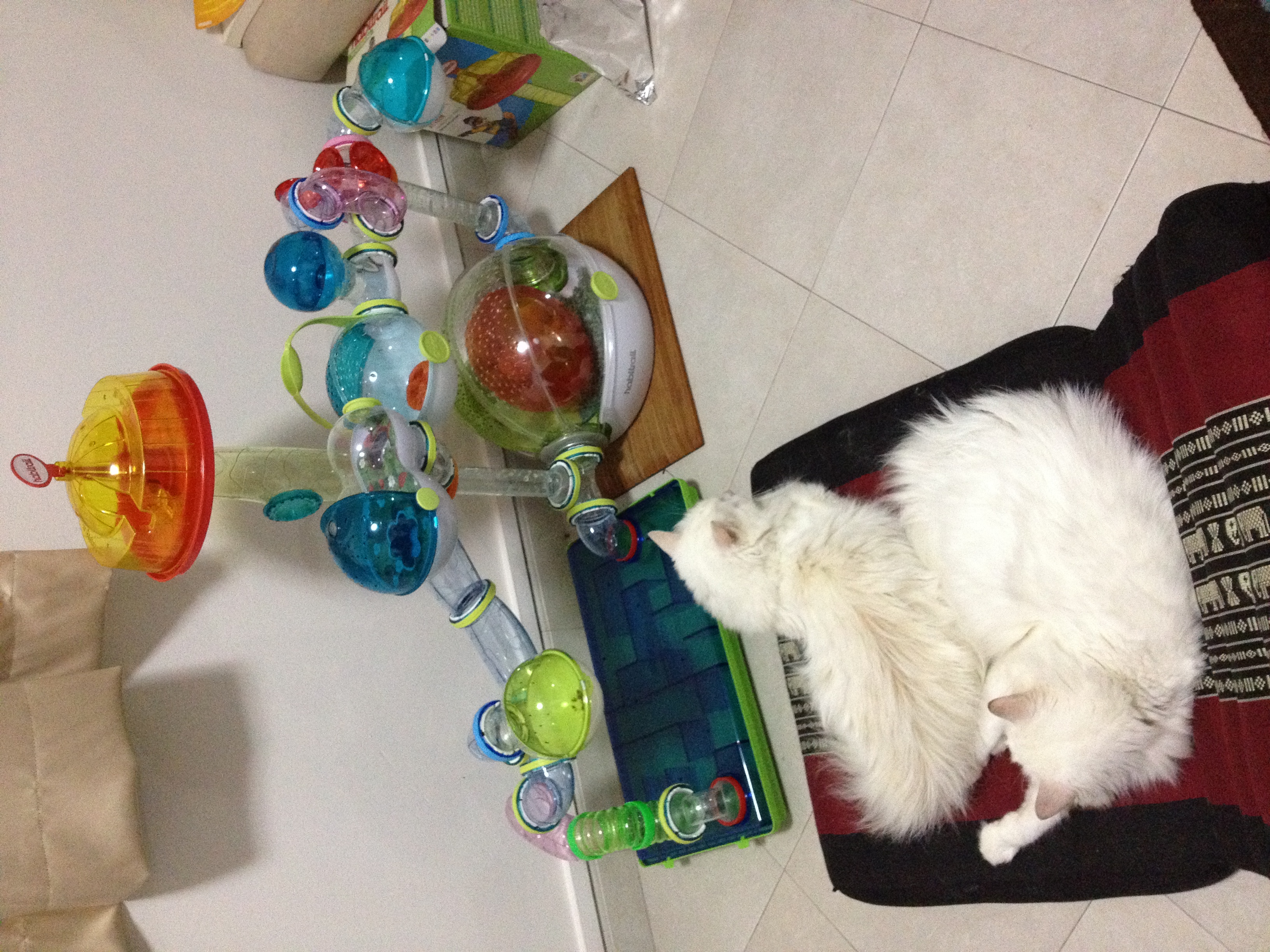 image-9