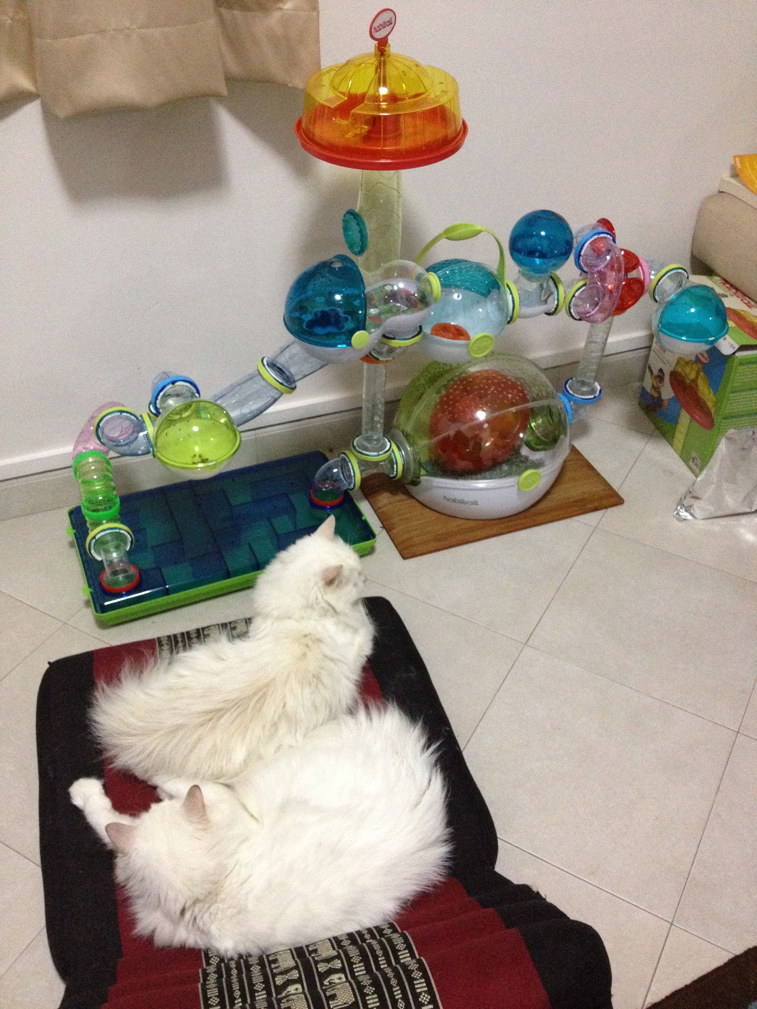 image-9