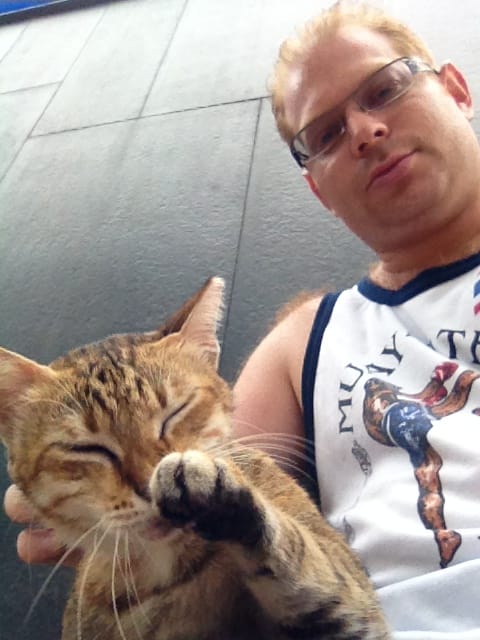 image-7