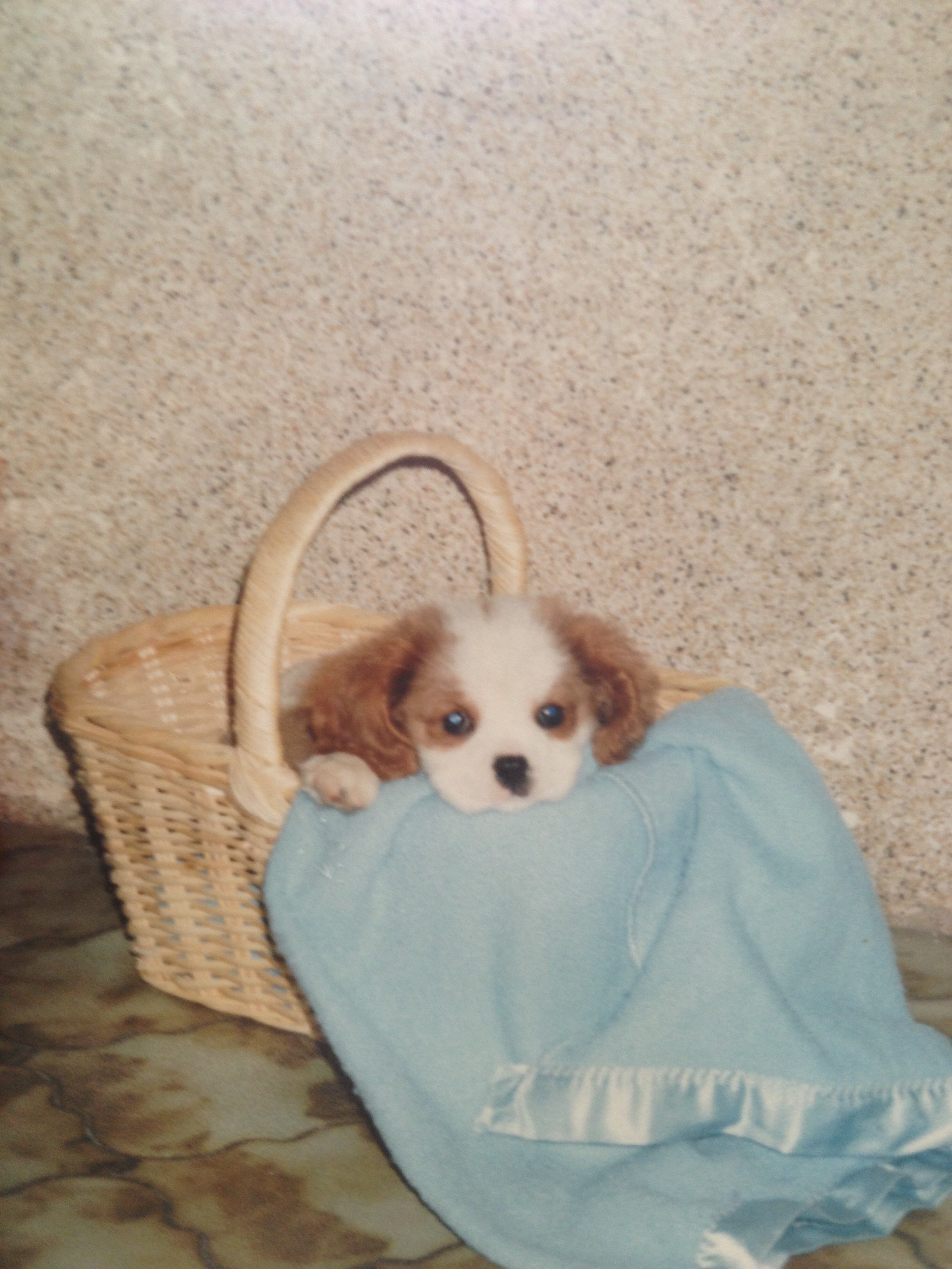 image-8