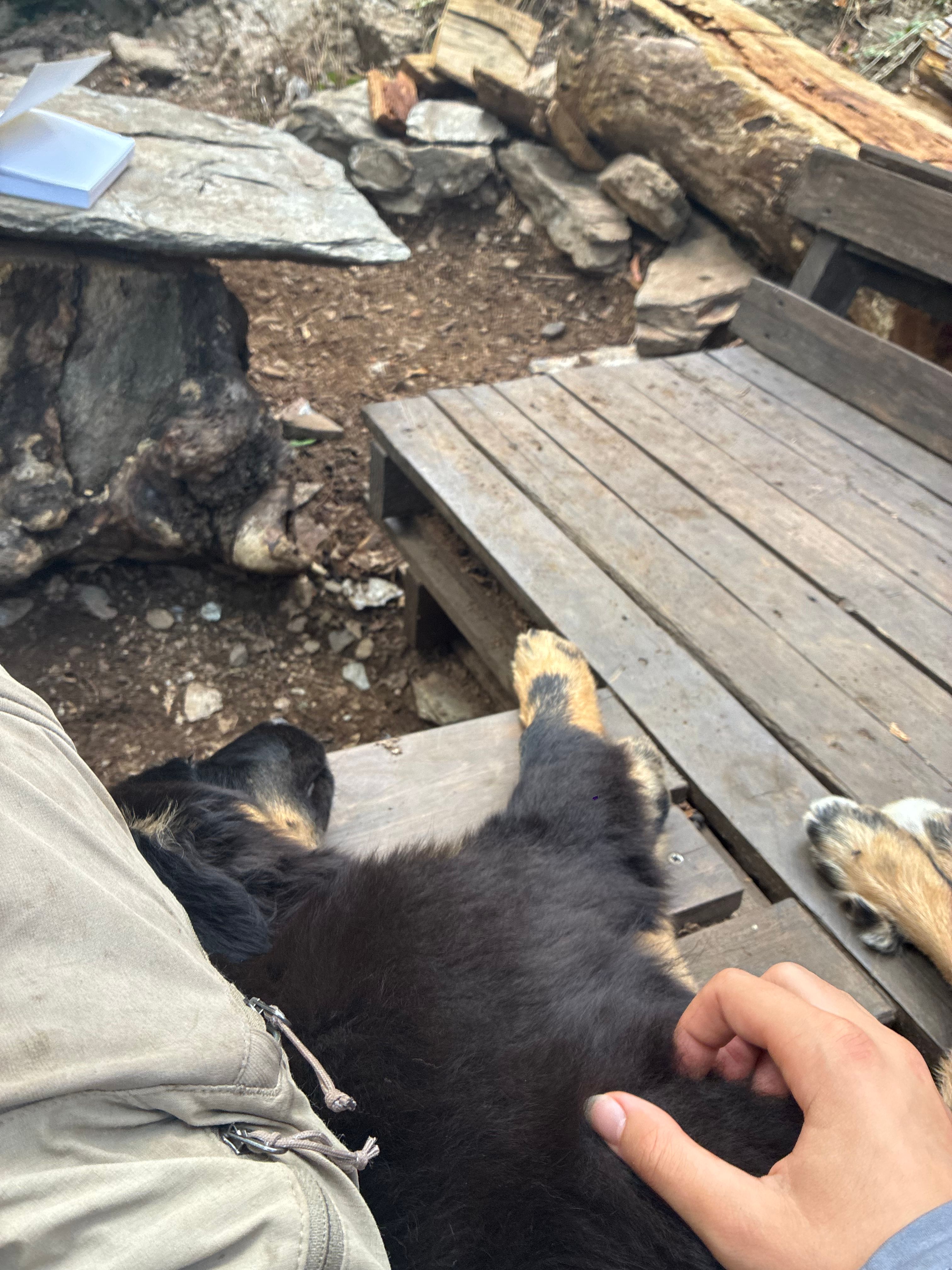 image-7