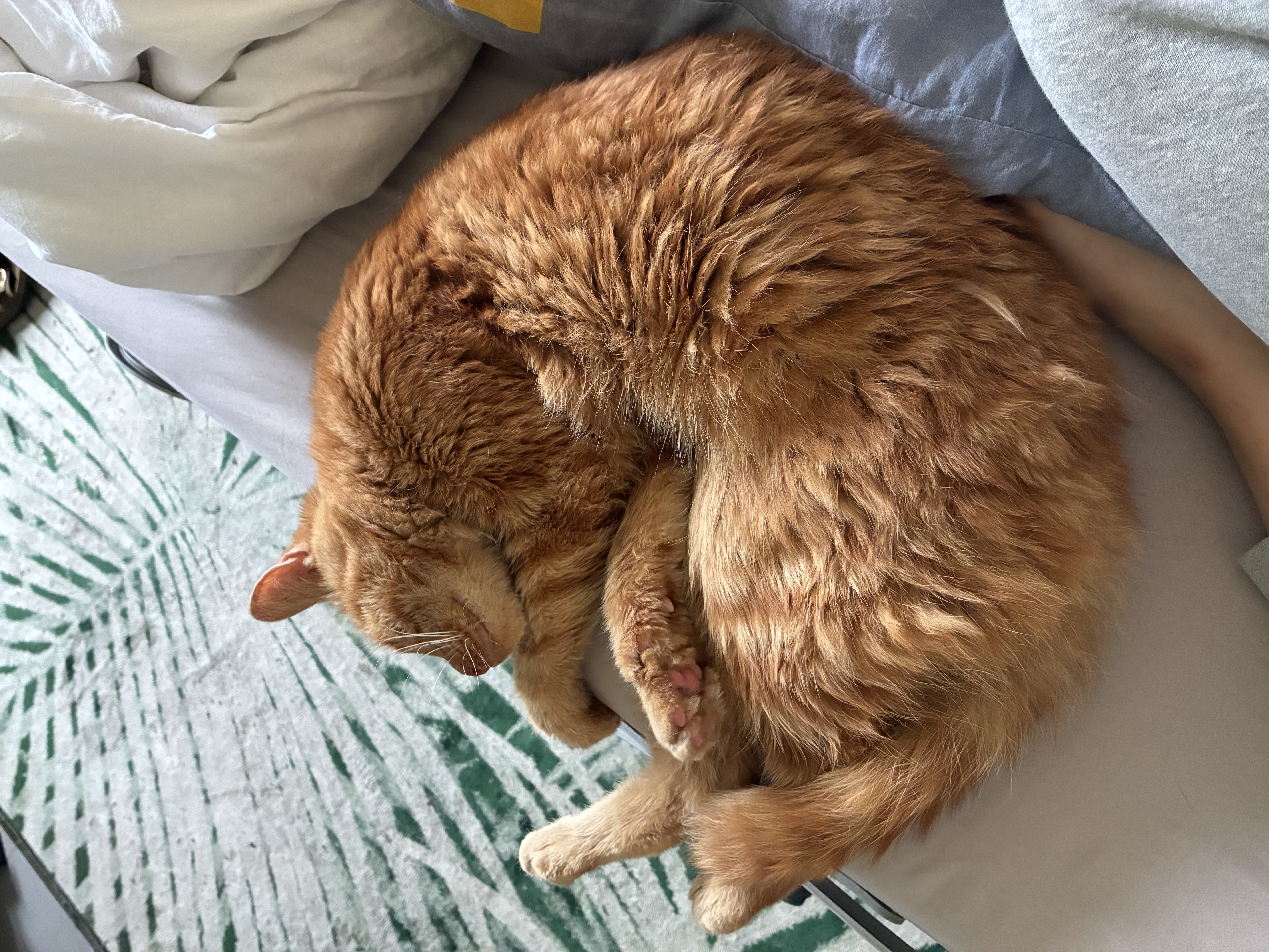 image-6