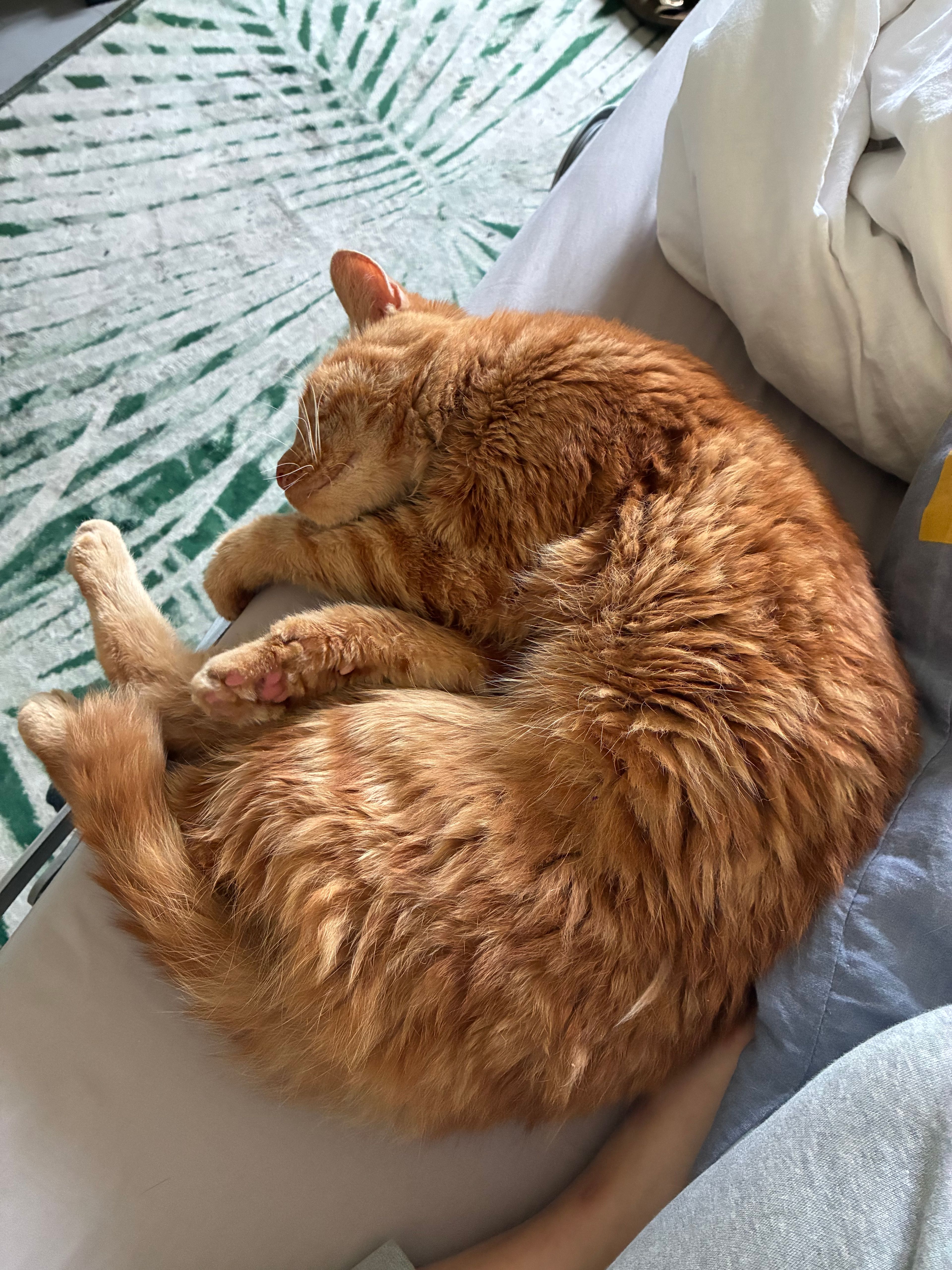 image-6