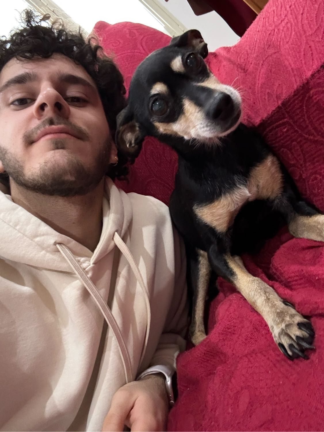 image-6